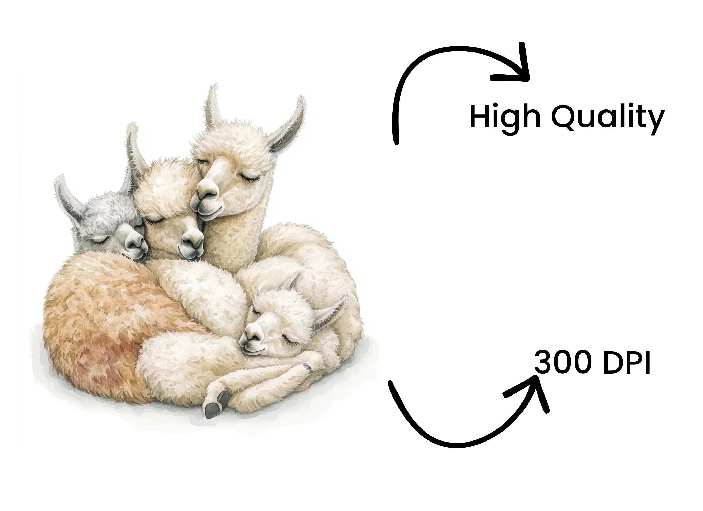 Cute Sleeping Baby Llamas Clipart Bundle