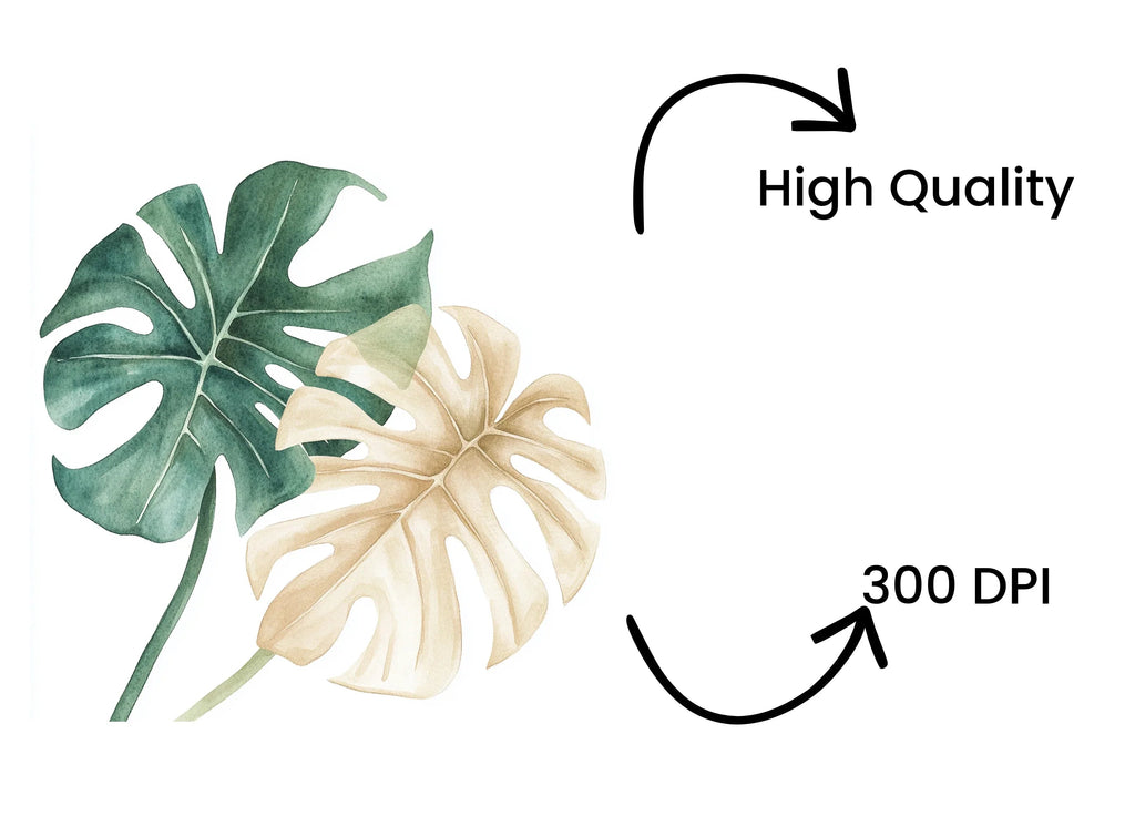 Monstera Leaves Clipart Bundle