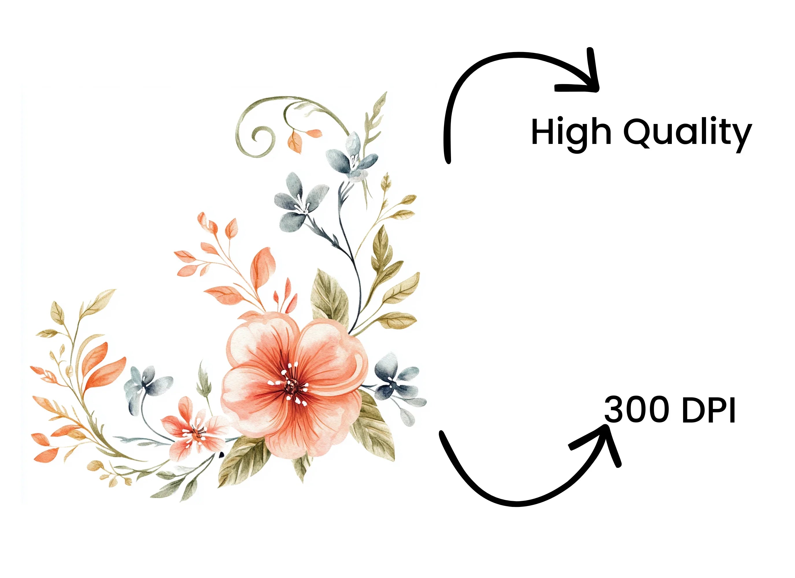 Elegant Floral Swirls Clipart Bundle