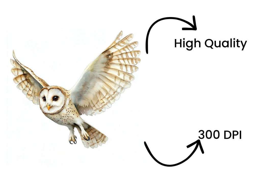 Barn Owl Flying Clipart Bundle
