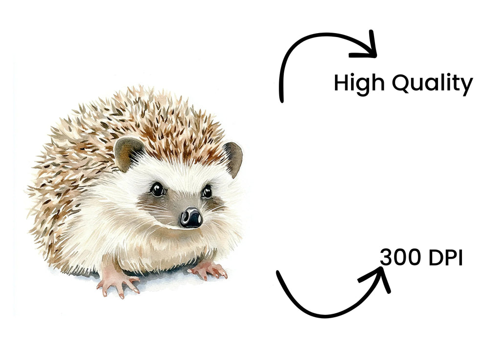 Cute Hedgehog Clipart Bundle