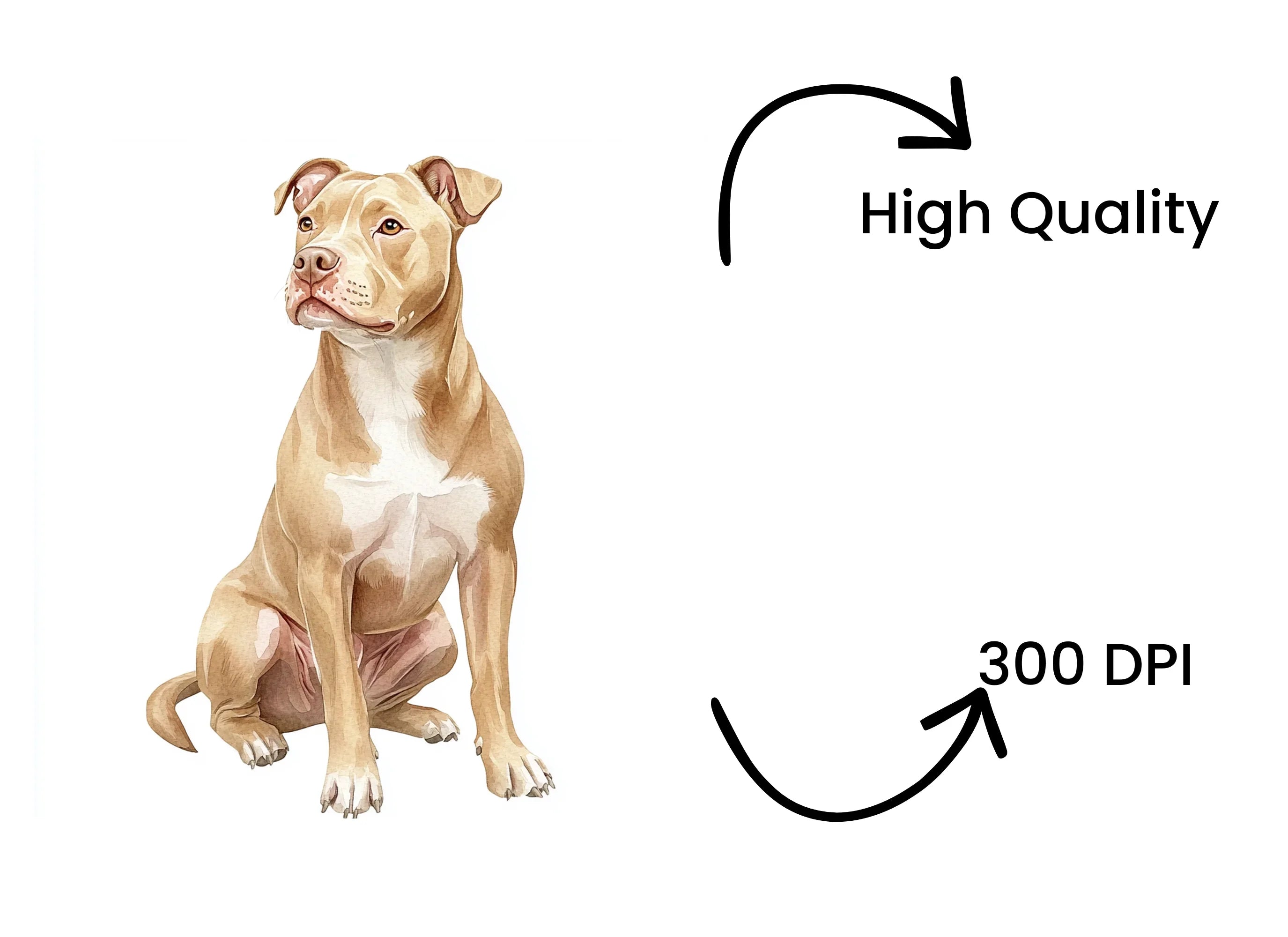 Sitting Pitbull Dog Clipart Bundle