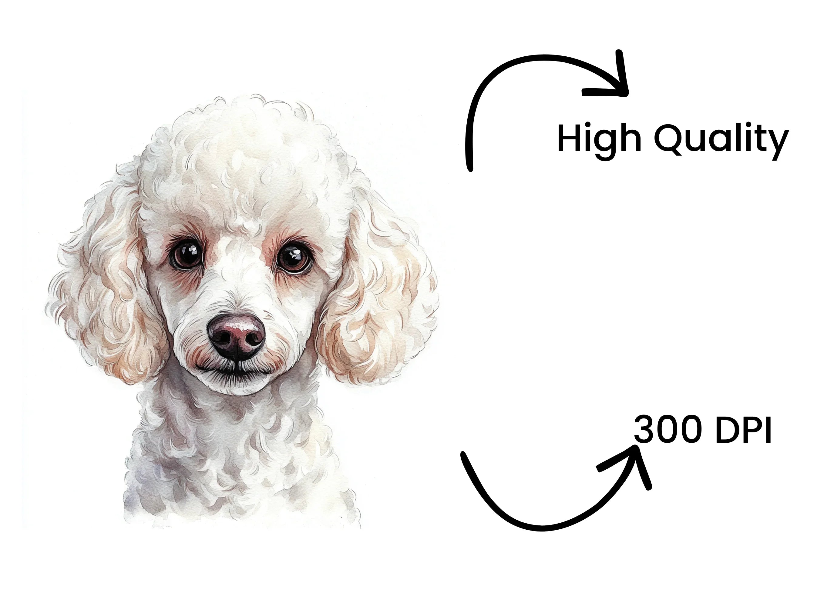 Adorable Poodle Puppy Clipart Bundle