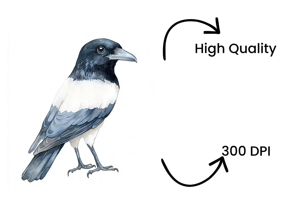 Cute Black and White Birds Clipart Bundle