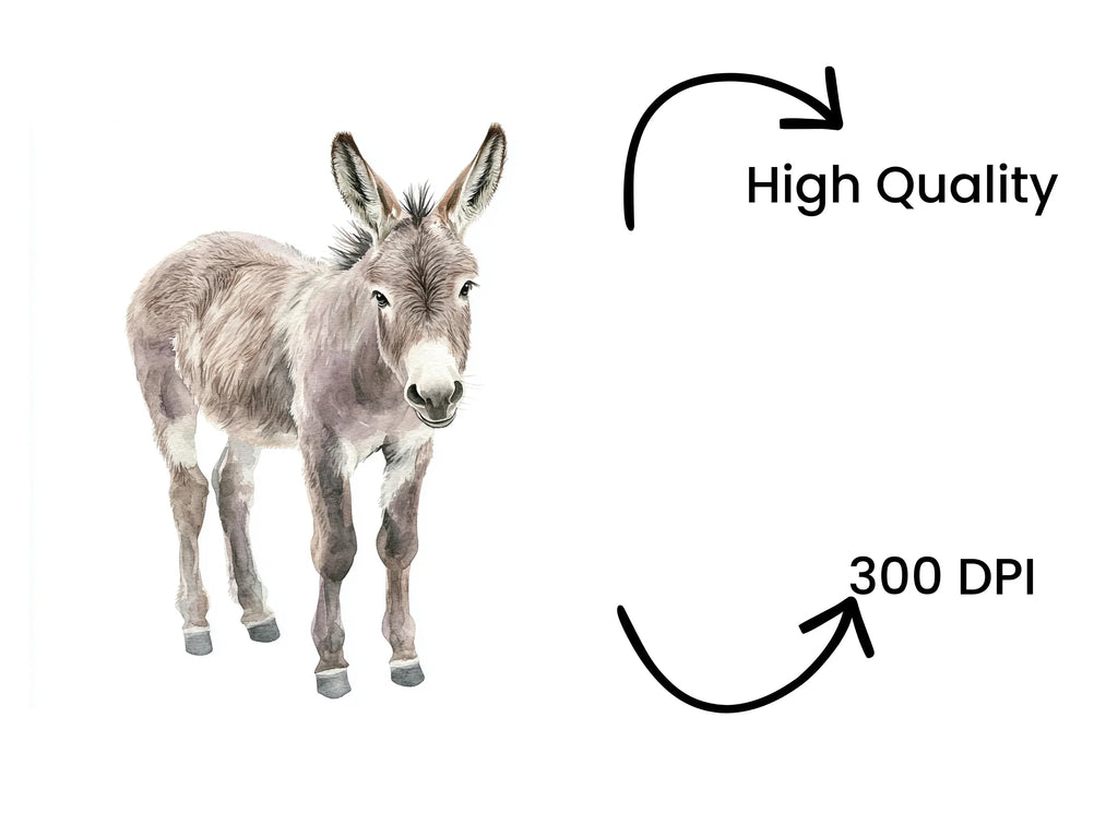 Cute Donkey Clipart Bundle