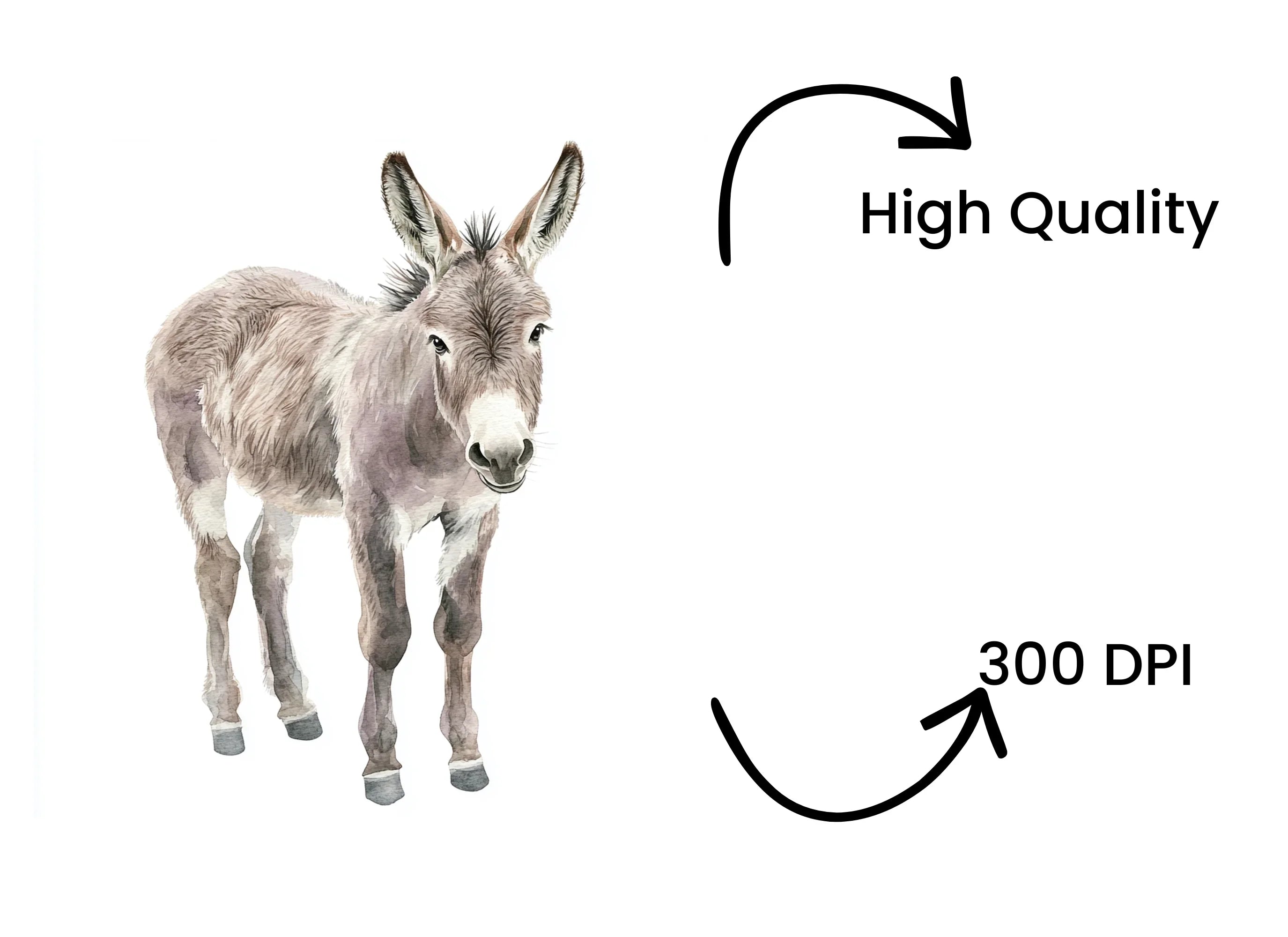 Cute Donkey Clipart Bundle