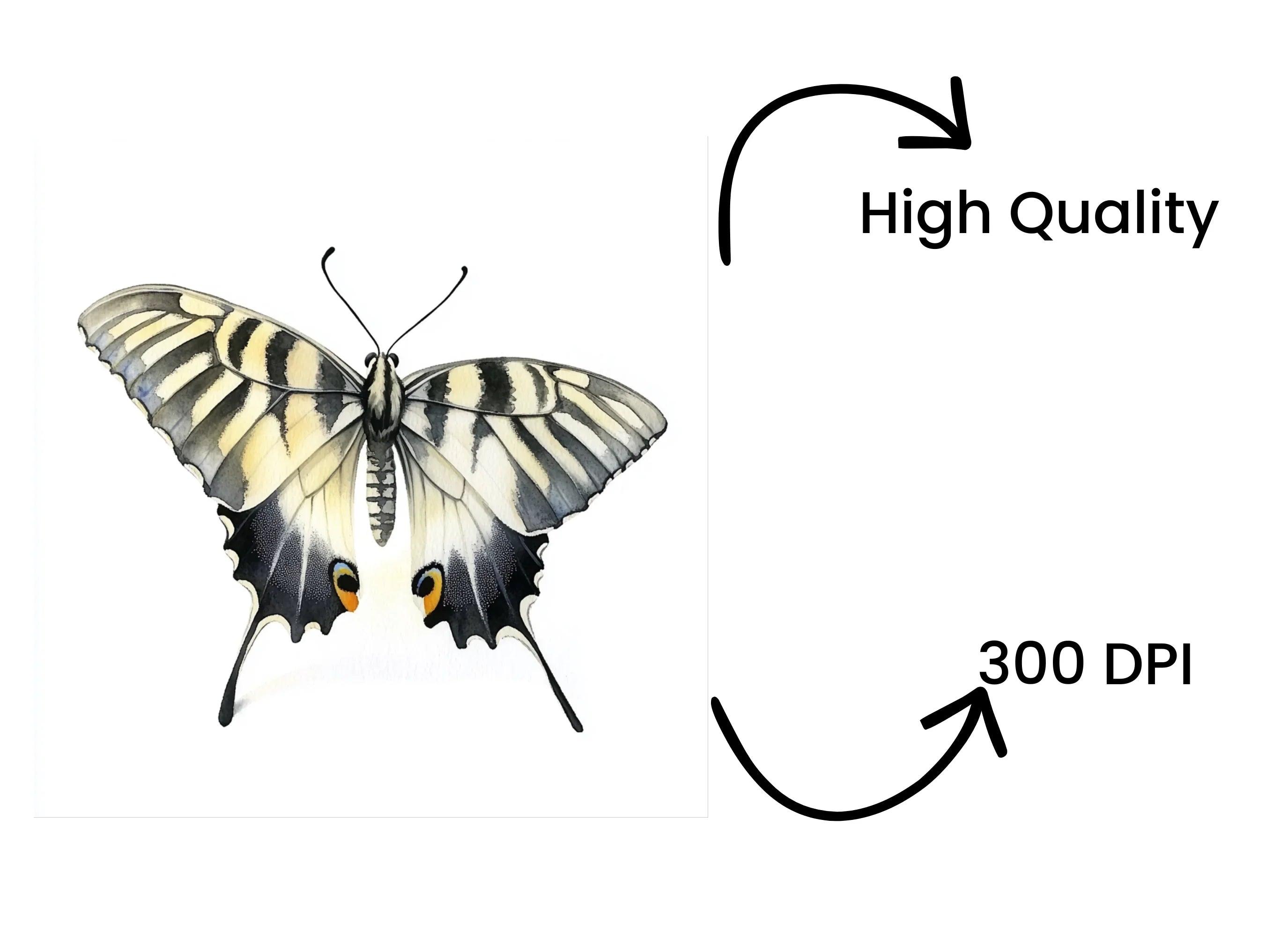 Swallowtail Butterfly Clipart Bundle