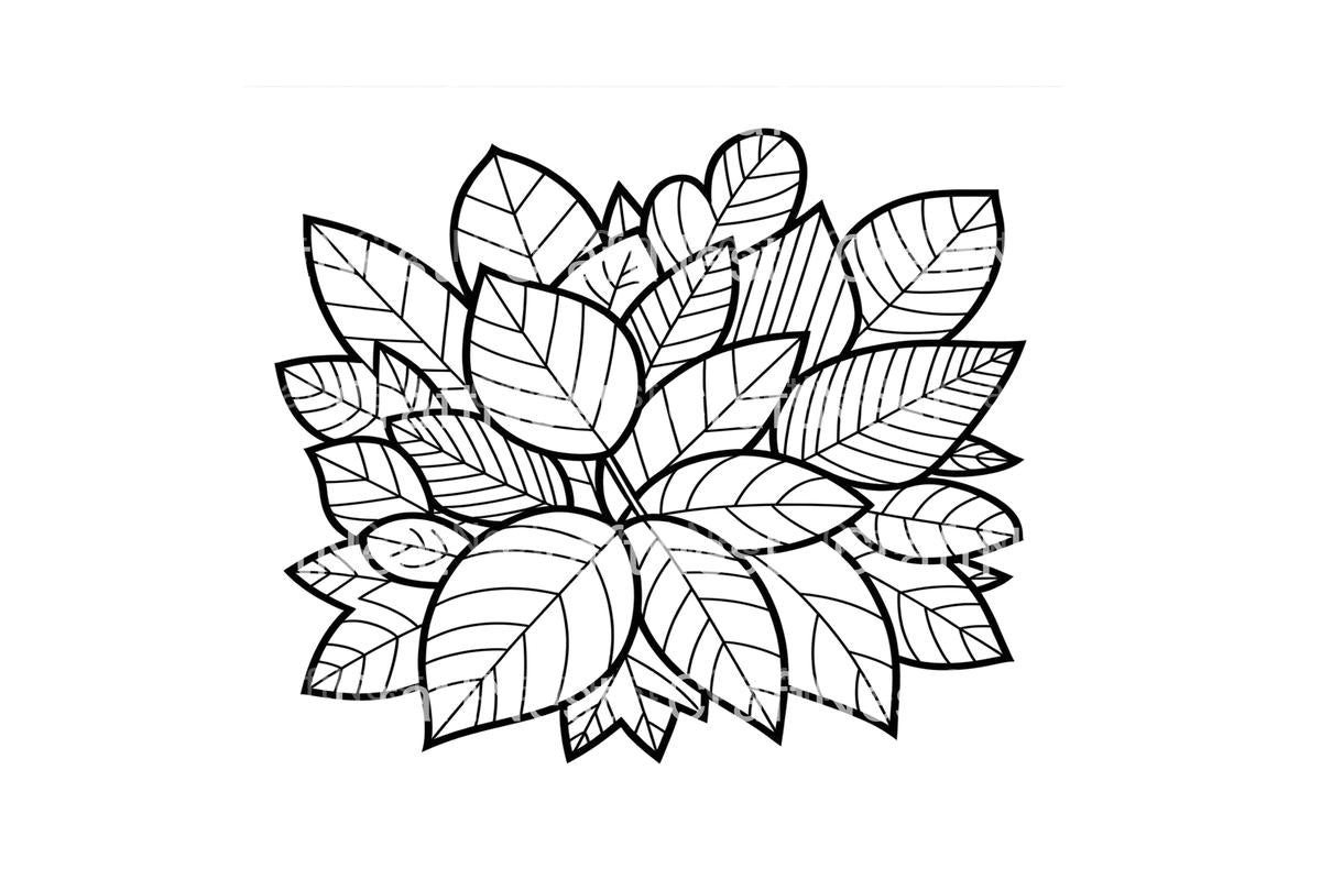 Autumn Leaves Coloring Books