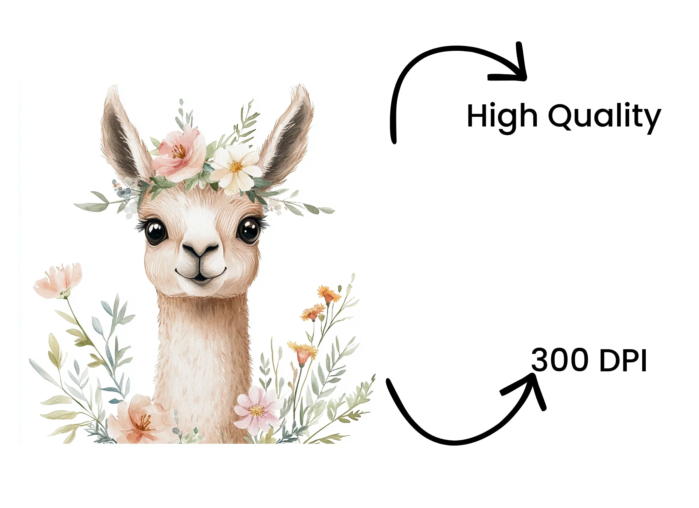 Cute Llama with Floral Accents Clipart Bundle