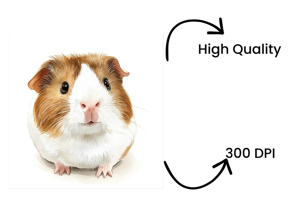 Cute Guinea Pig Clipart Bundle