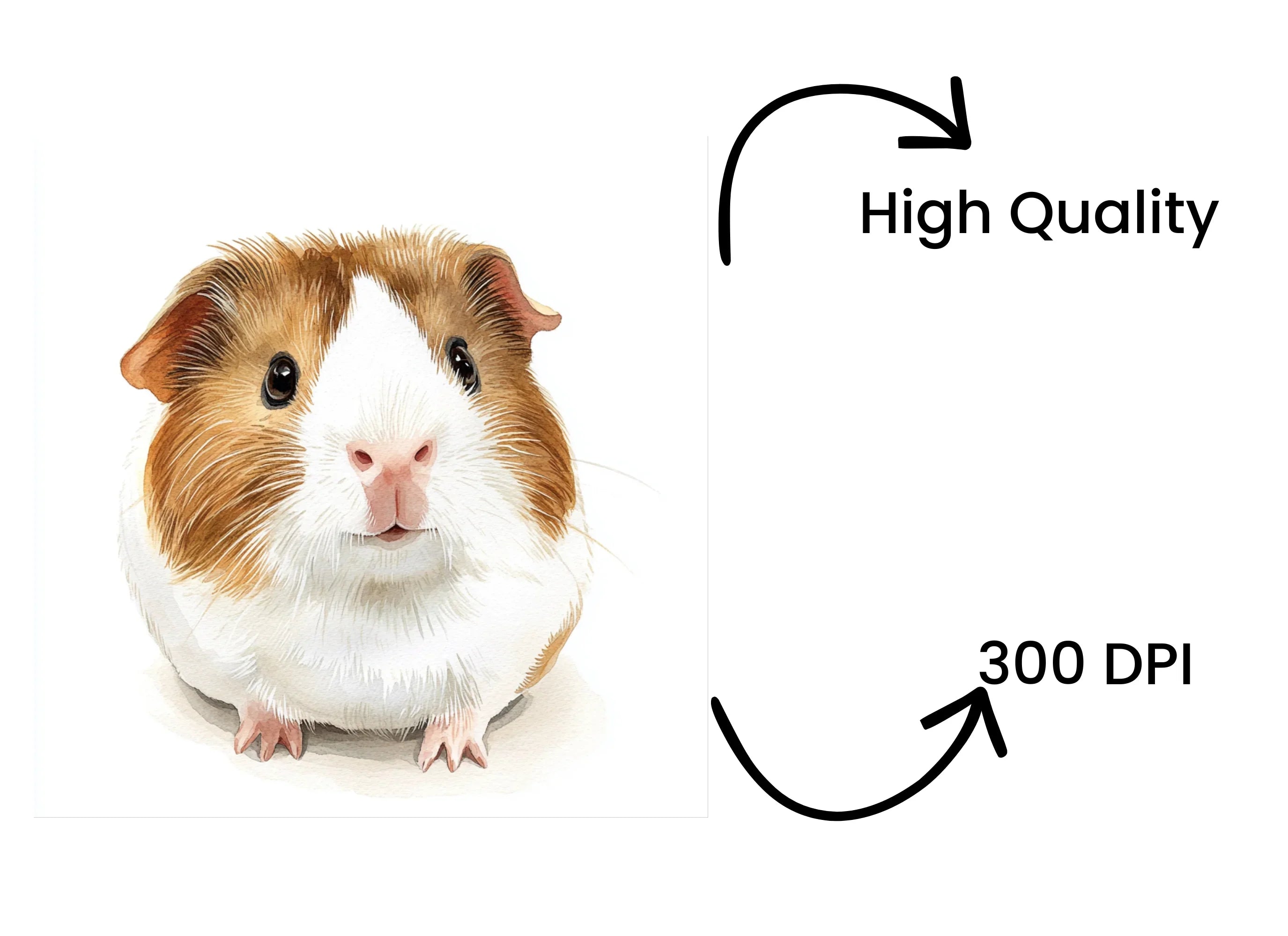 Cute Guinea Pig Clipart Bundle