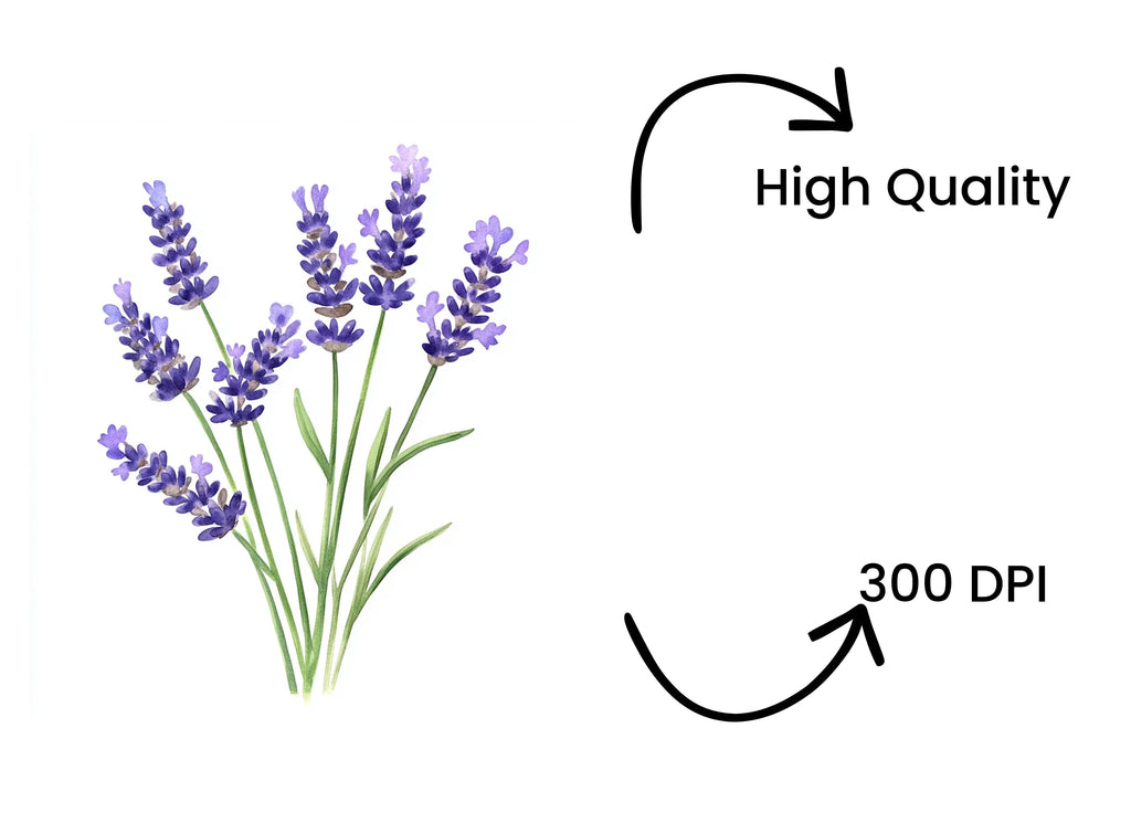 Lavender Flower Clipart Bundle