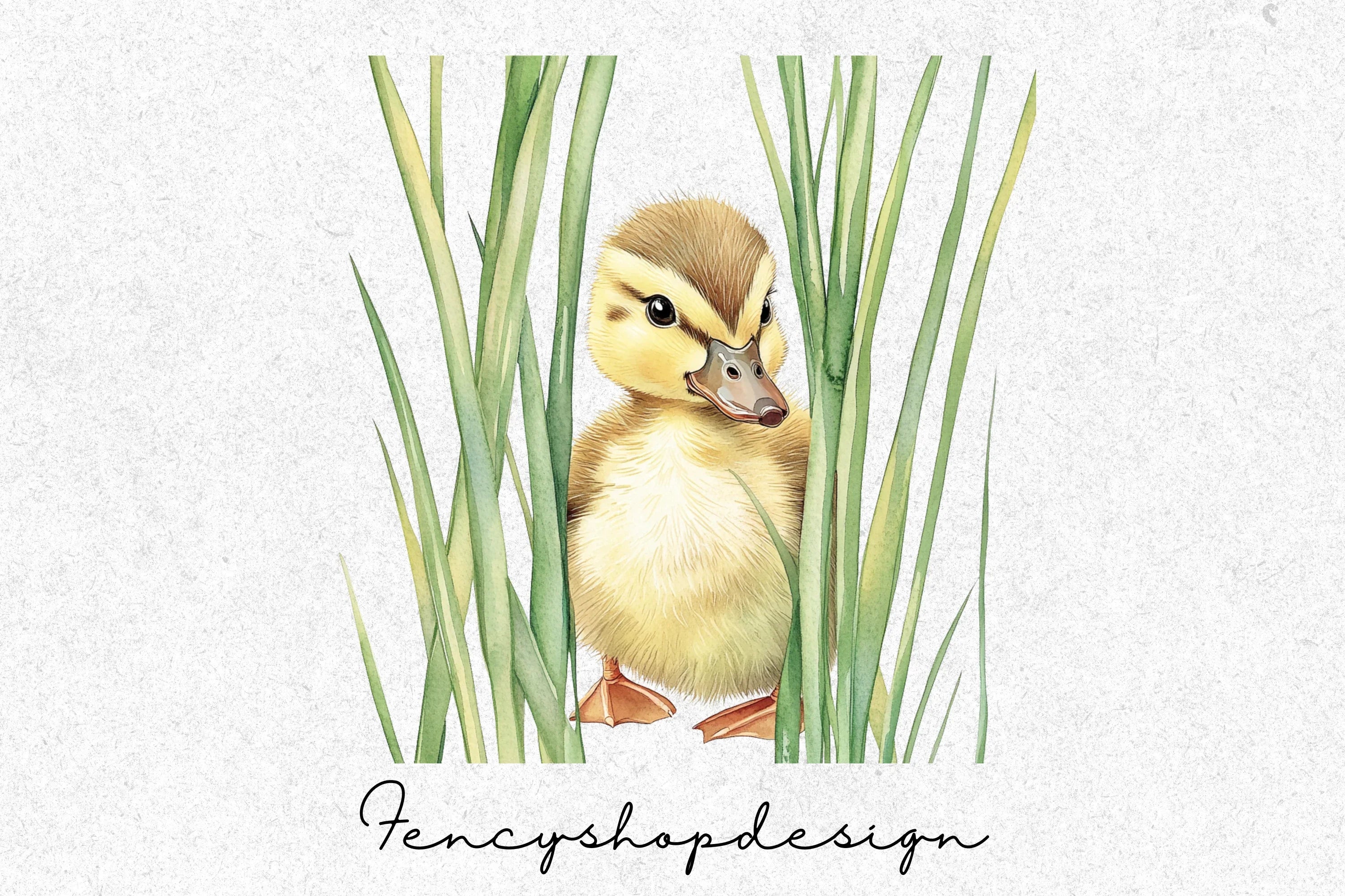 Adorable Ducks & Spooky Spider Clipart Bundle