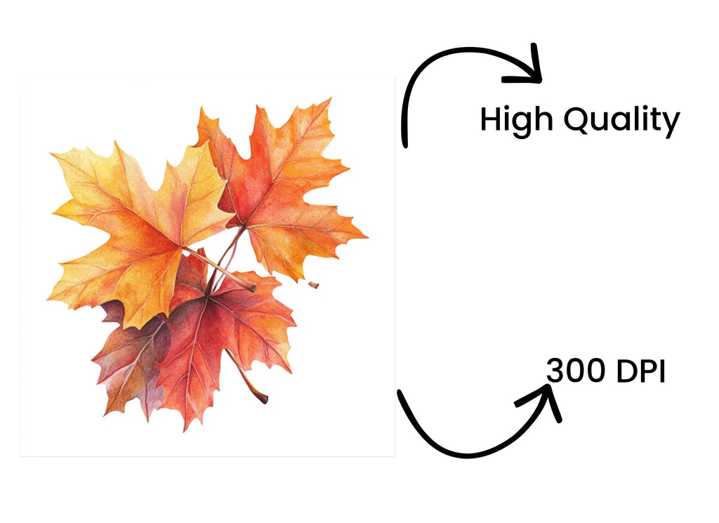 Autumn Leaves Clipart Bundle