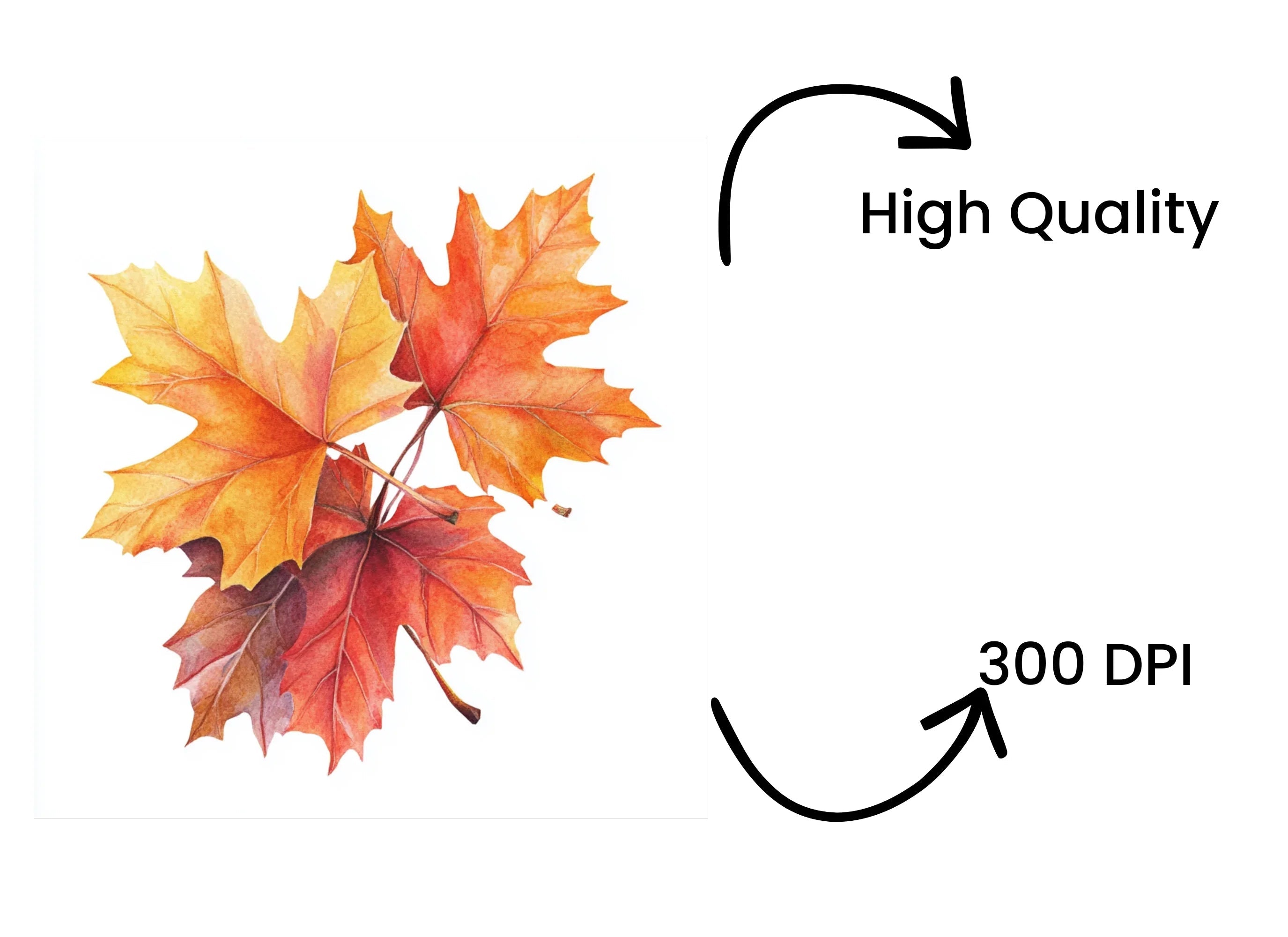 Autumn Leaves Clipart Bundle