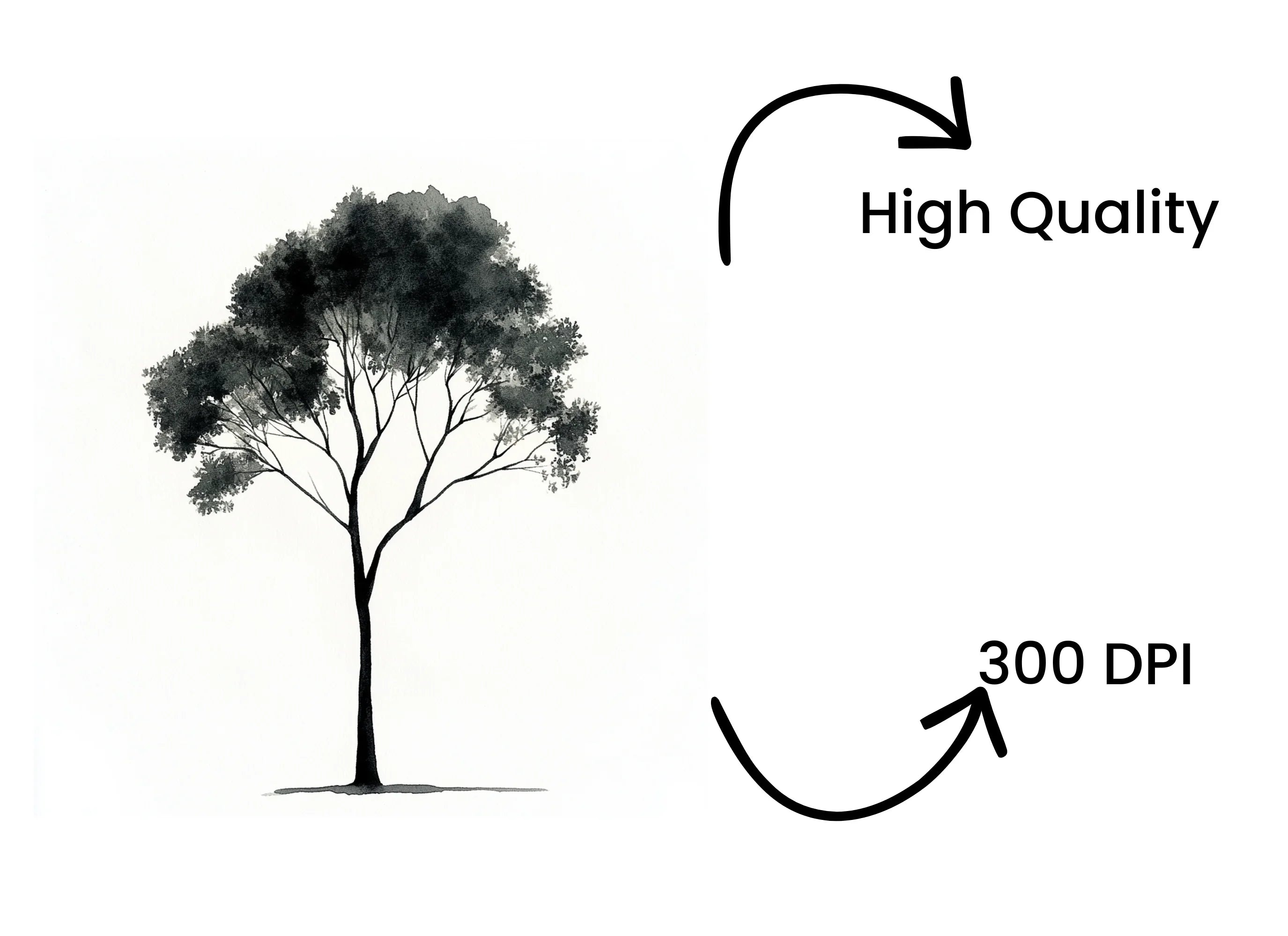 Monochromatic Tree Illustrations Clipart Bundle