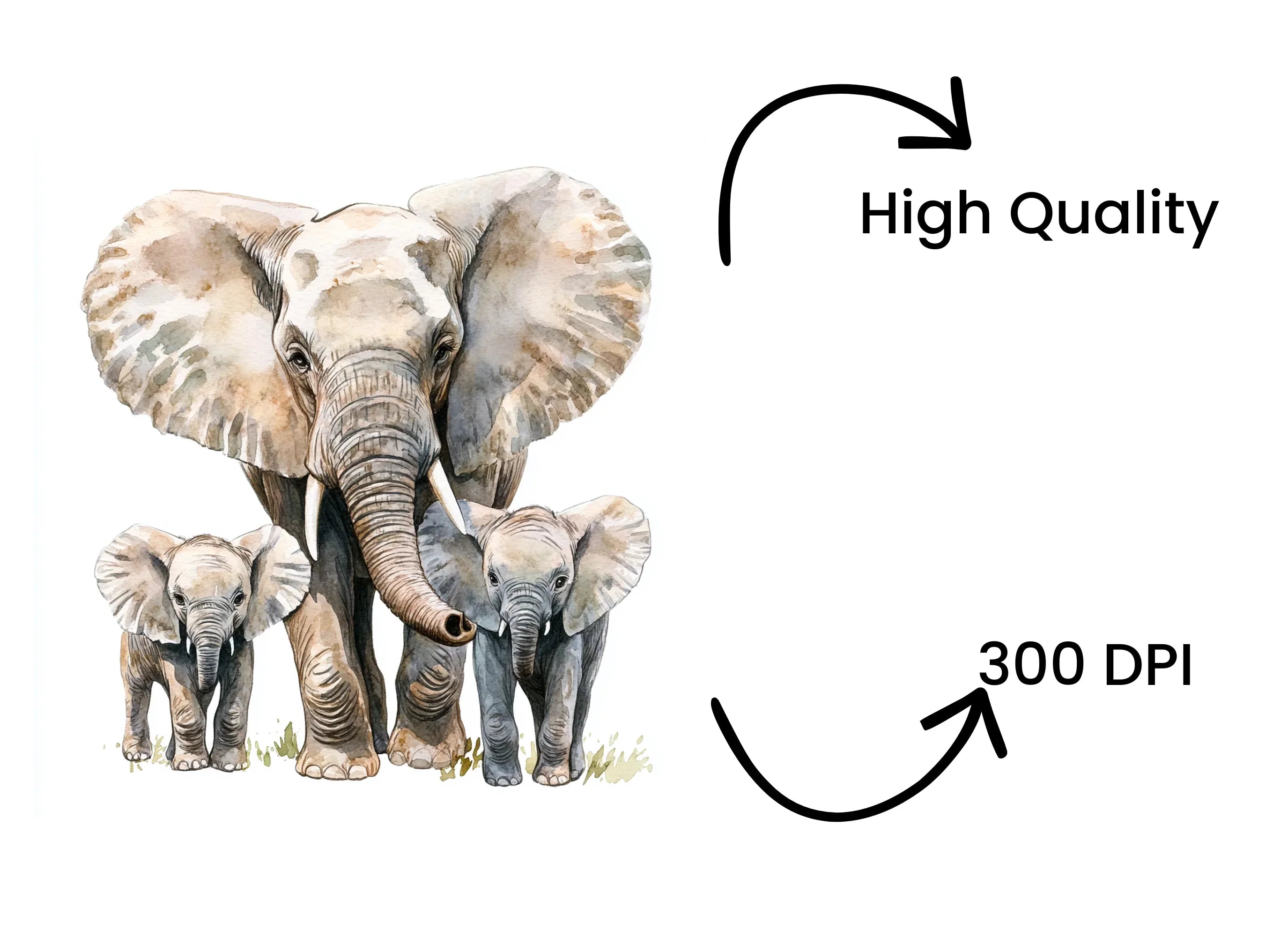 Elephant Family Clipart Bundle