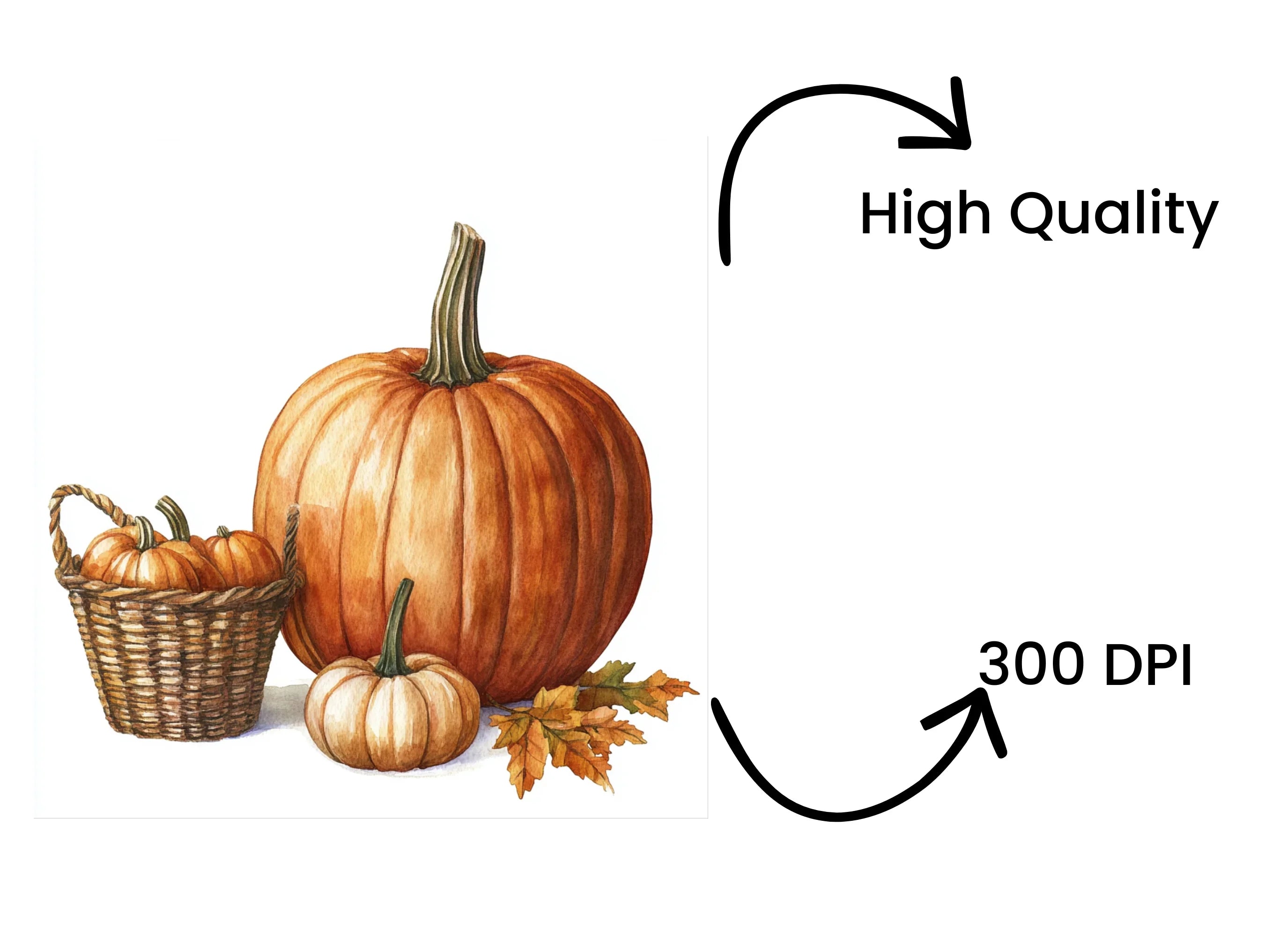 Pumpkin Clipart Bundle