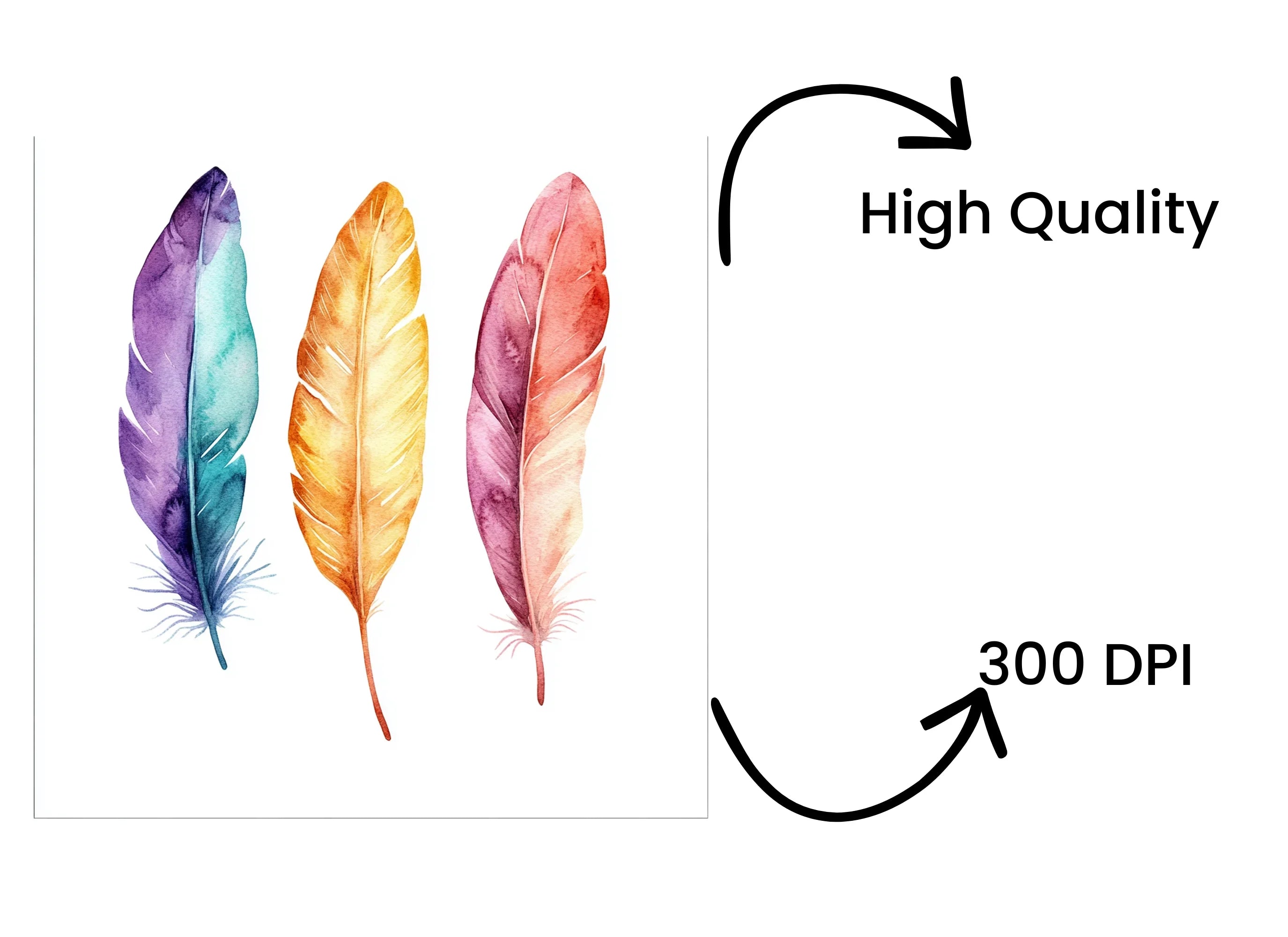 Vibrant Feather Clipart Bundle