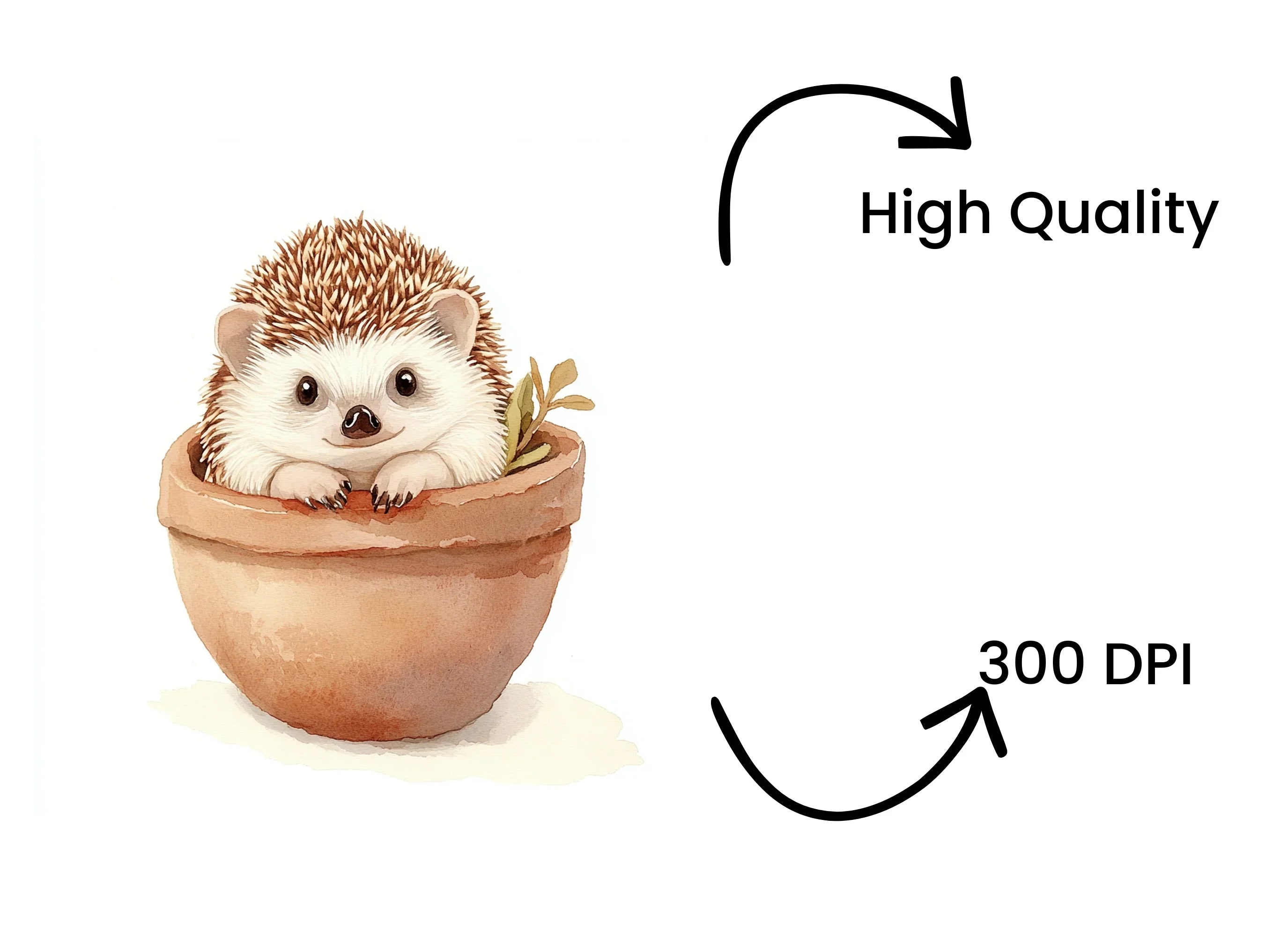 Cute Hedgehog in Pot Clipart Bundle