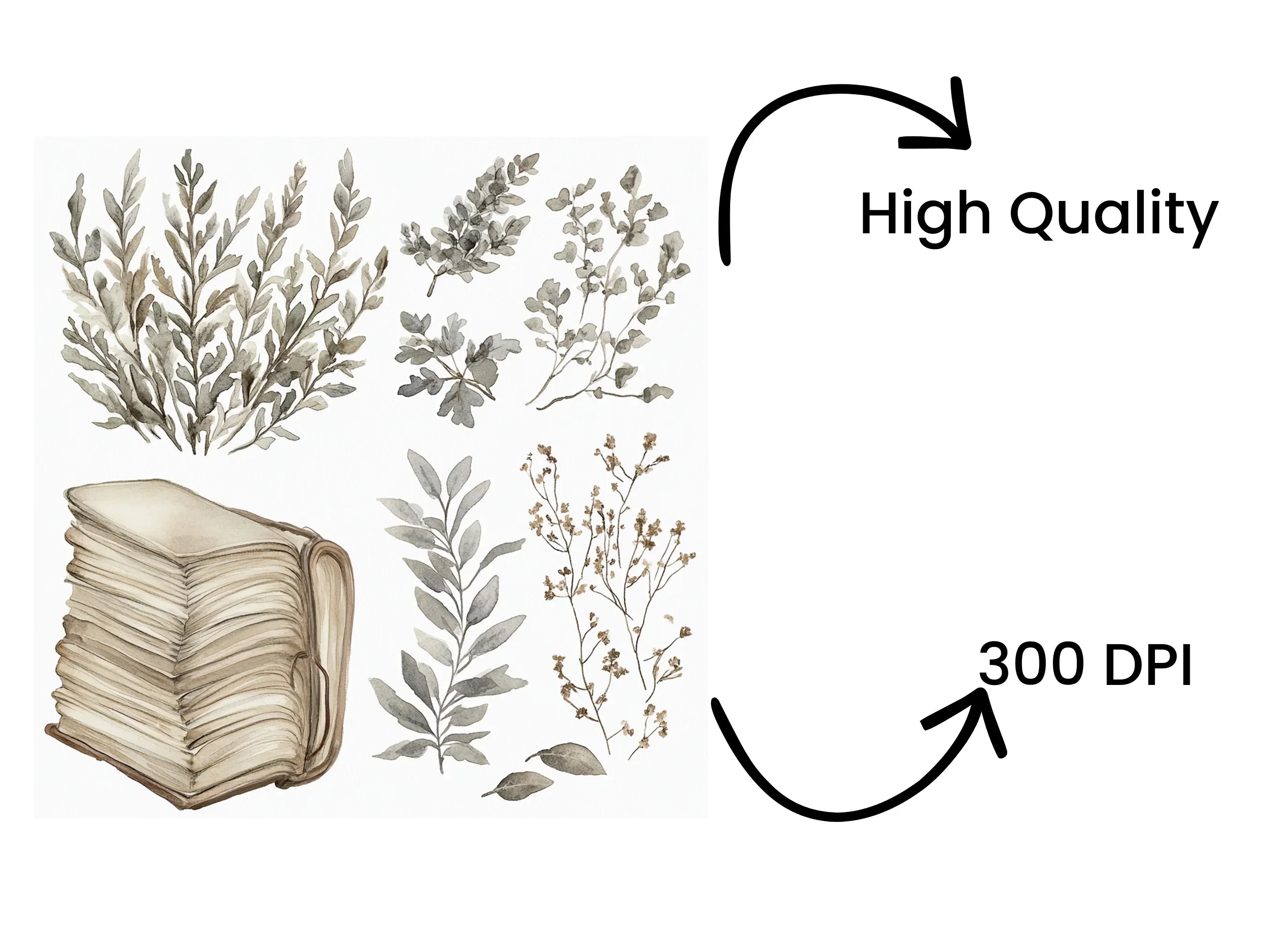 Autumn Botanical Clipart Bundle
