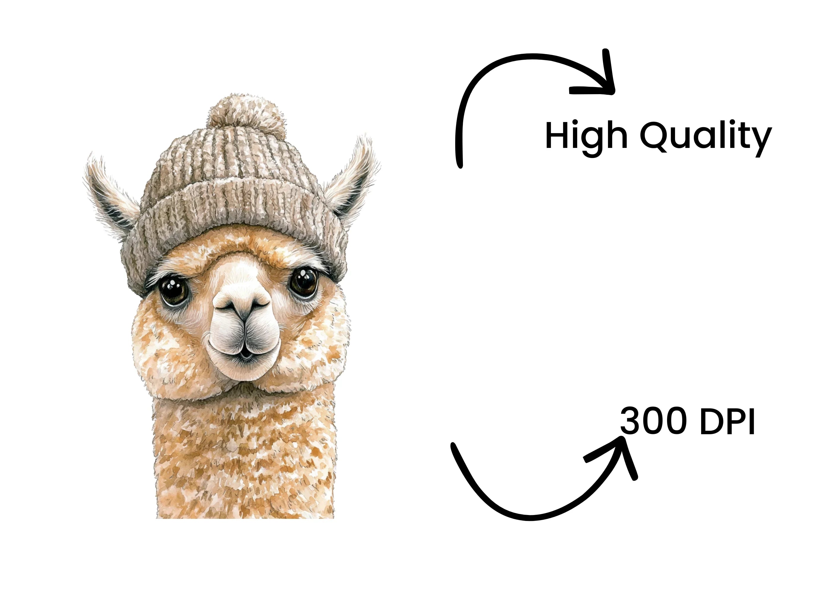 Cute Alpaca Winter Hat Clipart Bundle