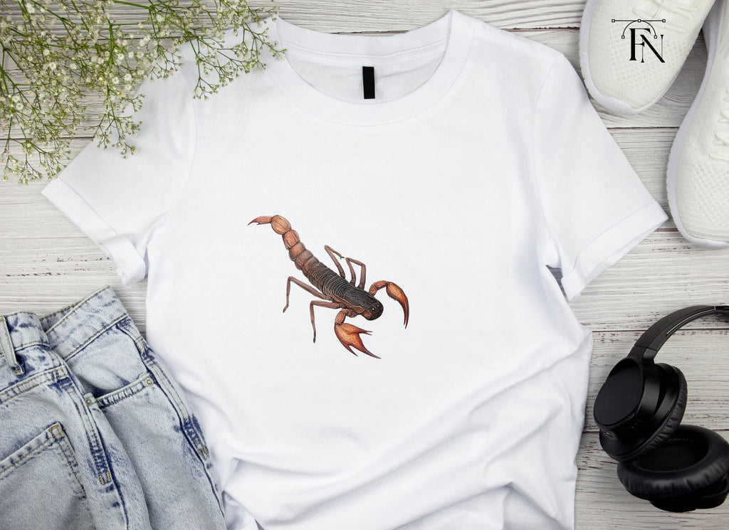 Realistic Scorpion Insect Clipart Bundle