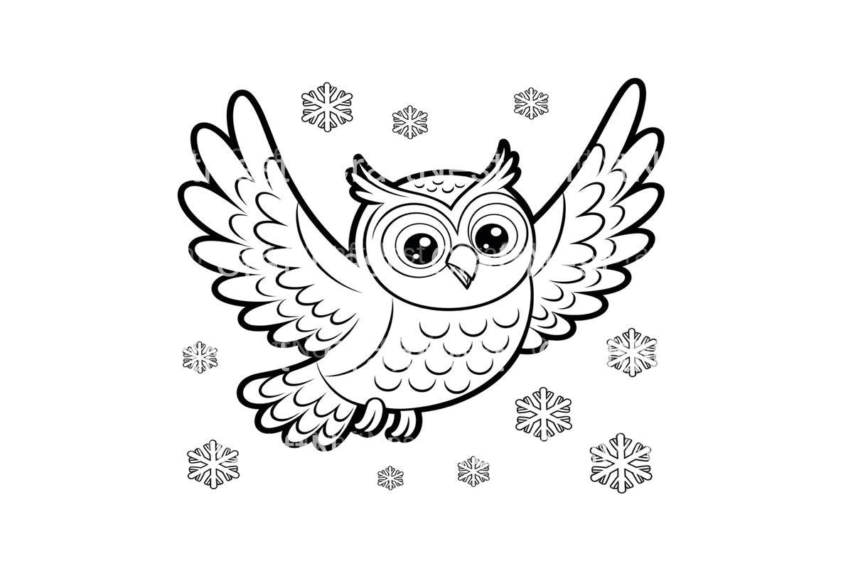 Cute Winter Owl Coloring Books