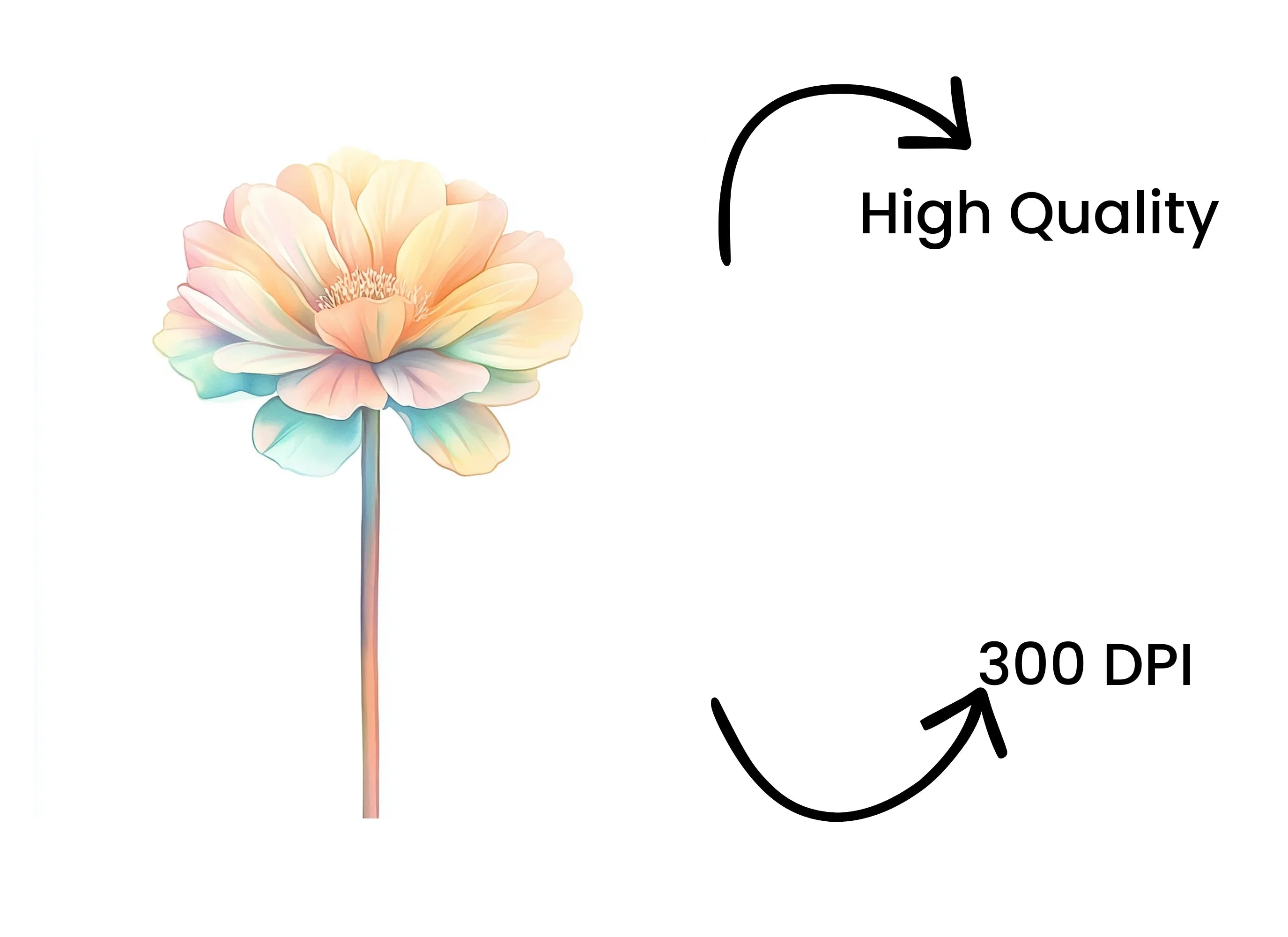 Soft Pastel Flowers Clipart Bundle