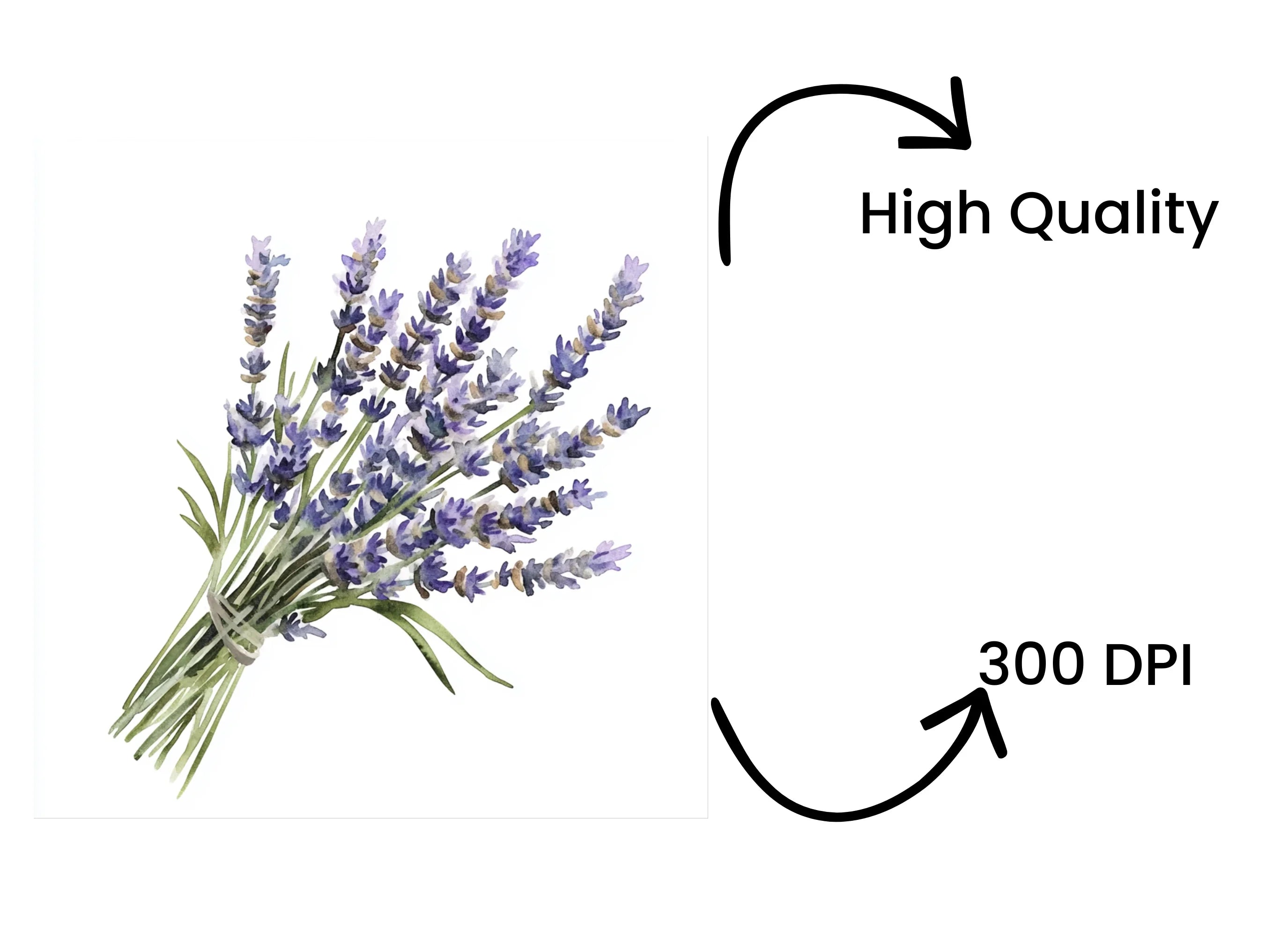 Lavender Bouquets Clipart Bundle