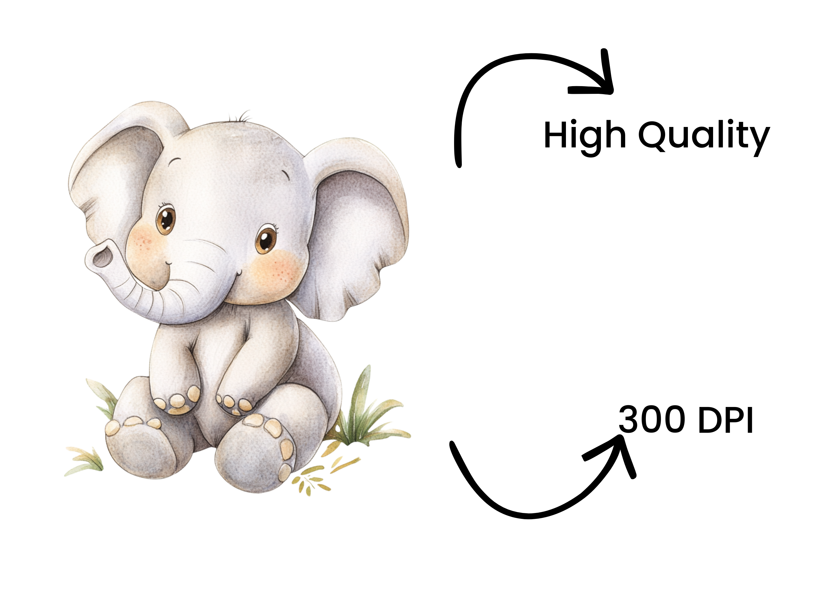 Baby Elephant Clipart Bundle
