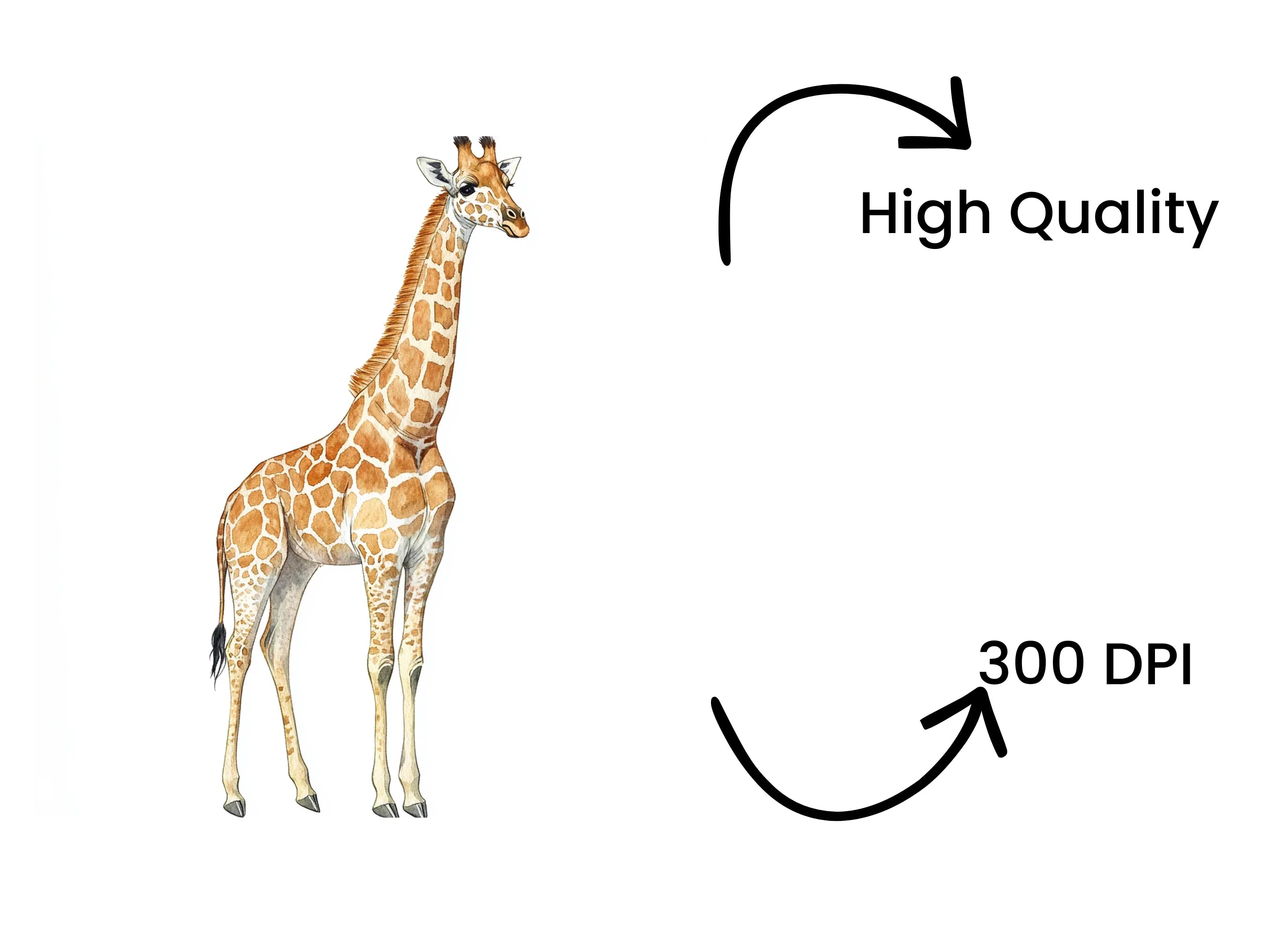 Giraffe Clipart Bundle