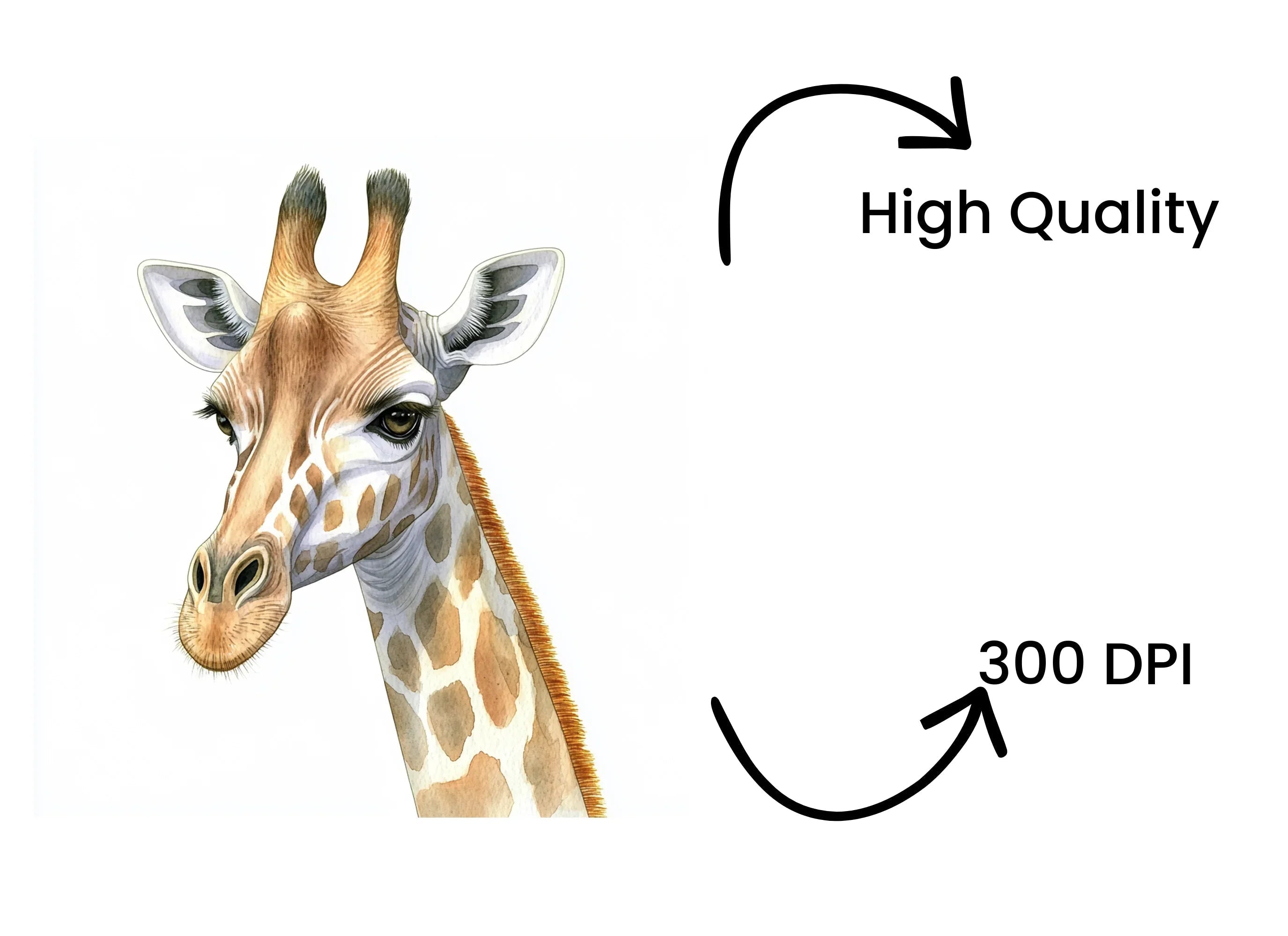 Cute Giraffe Head Clipart Bundle