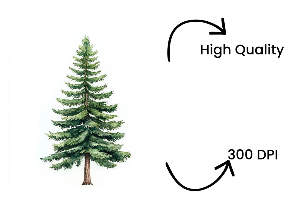 Realistic Pine Tree Clipart Bundle