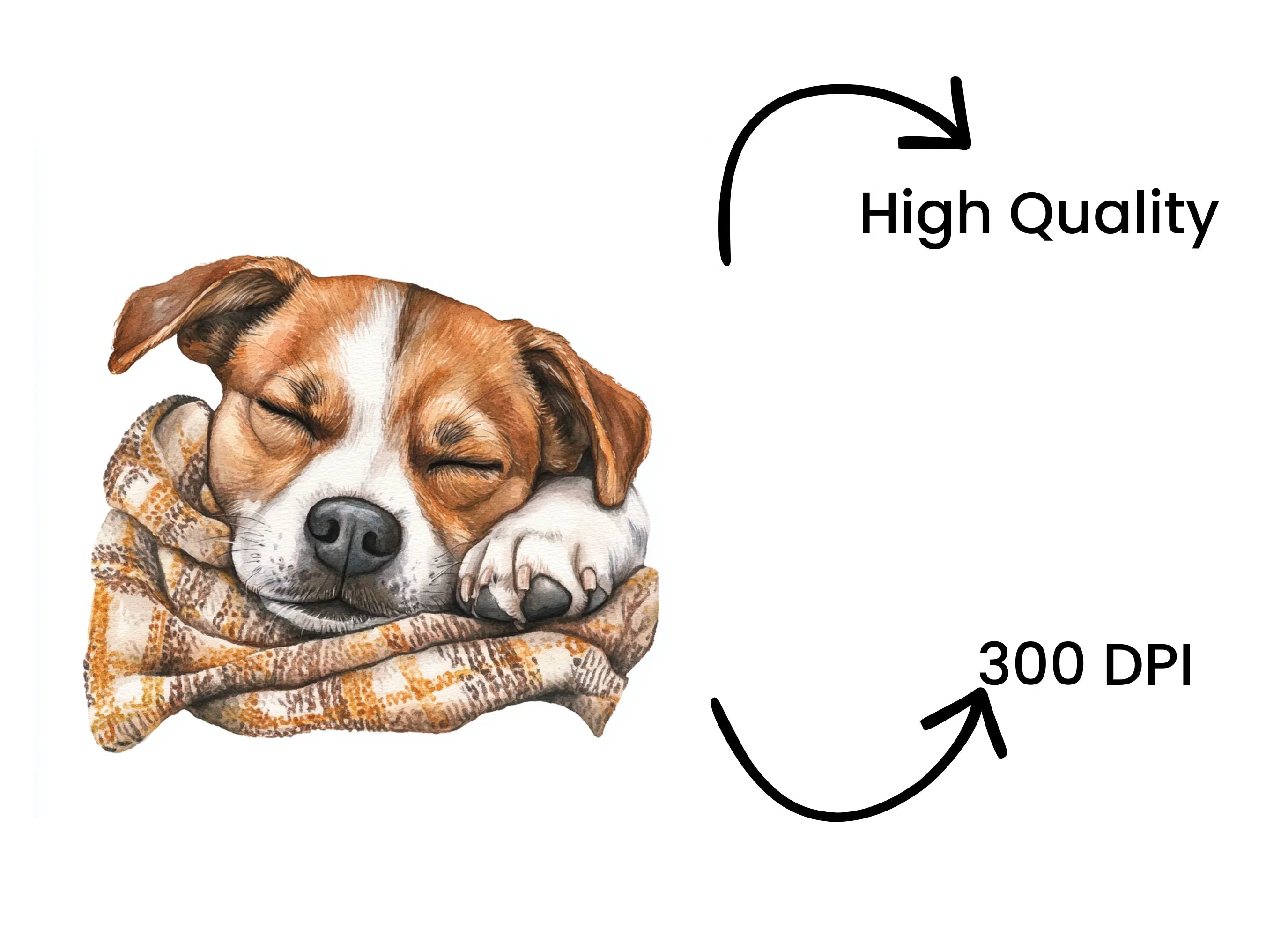 Cute Sleeping Puppies Clipart Bundle