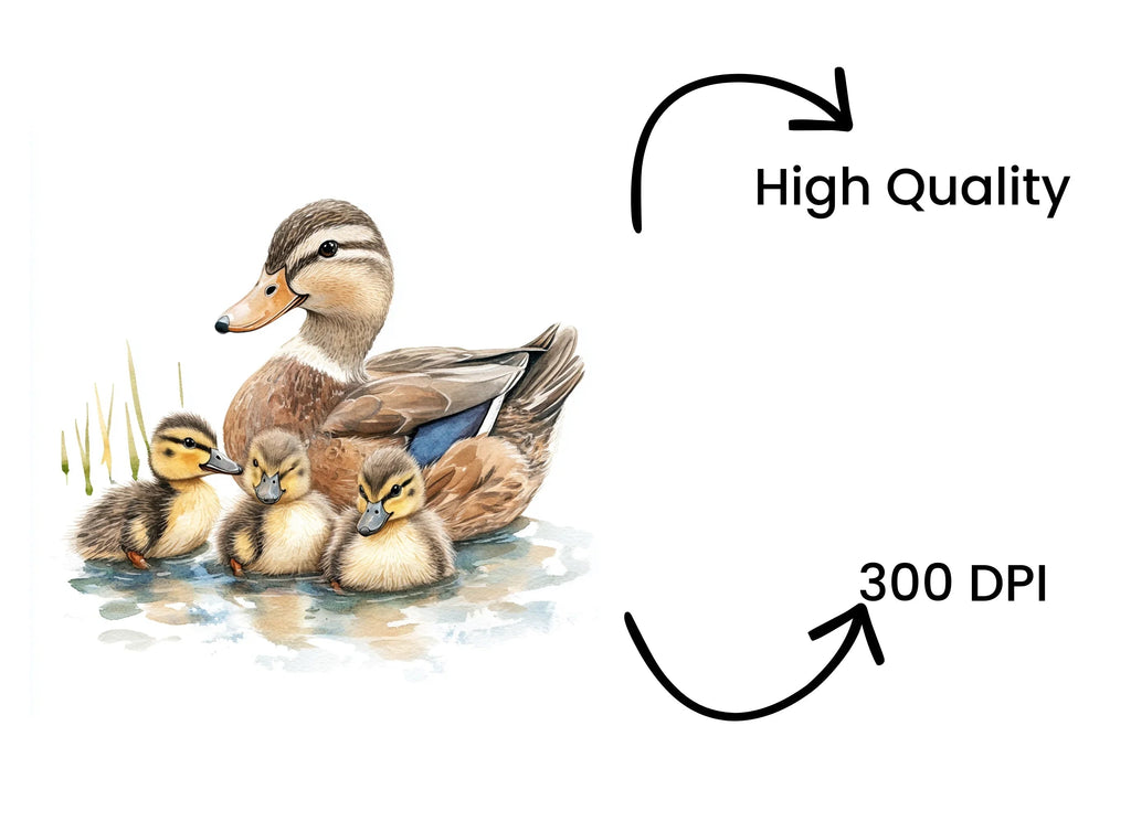 Duck and Duckling Clipart Bundle
