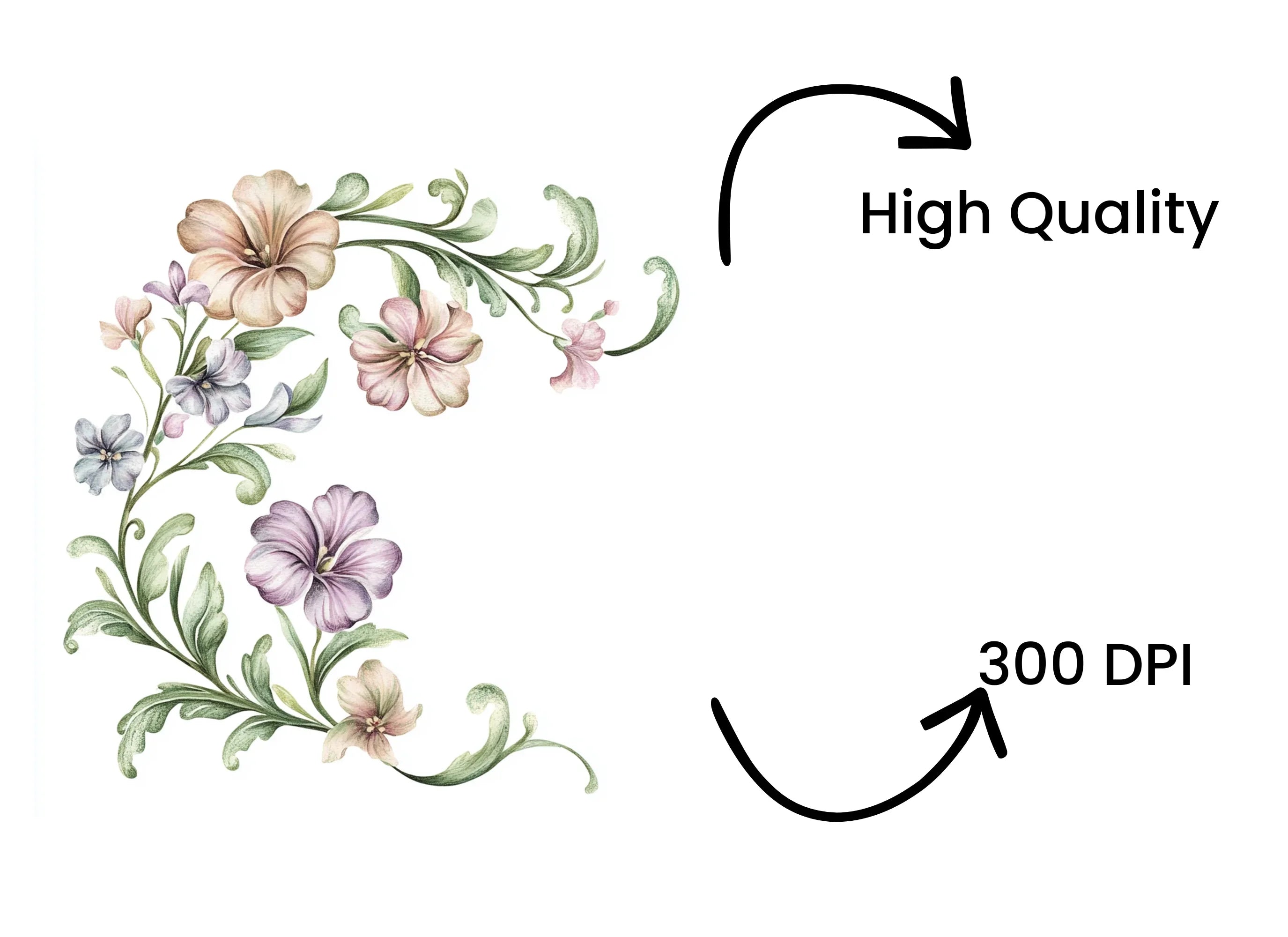 Floral Corner Clipart Bundle
