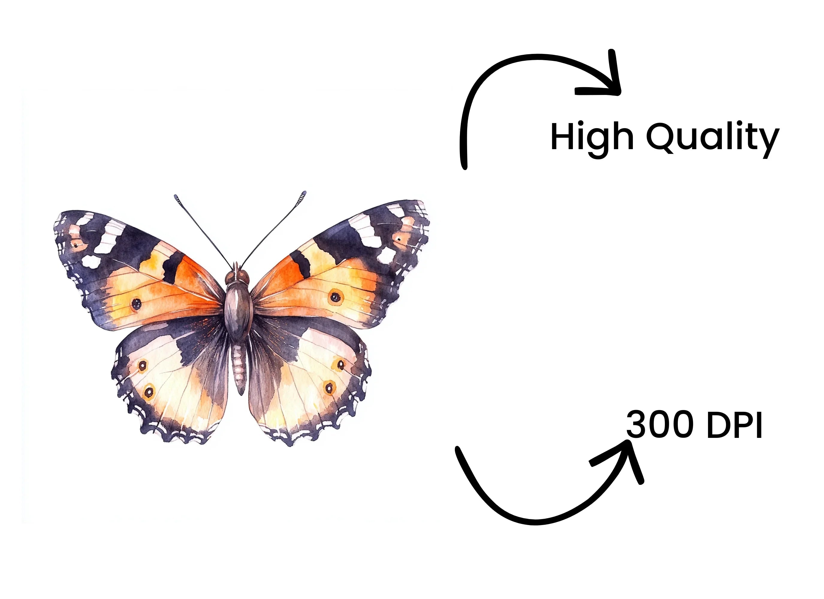 Vibrant Butterfly Clipart Bundle