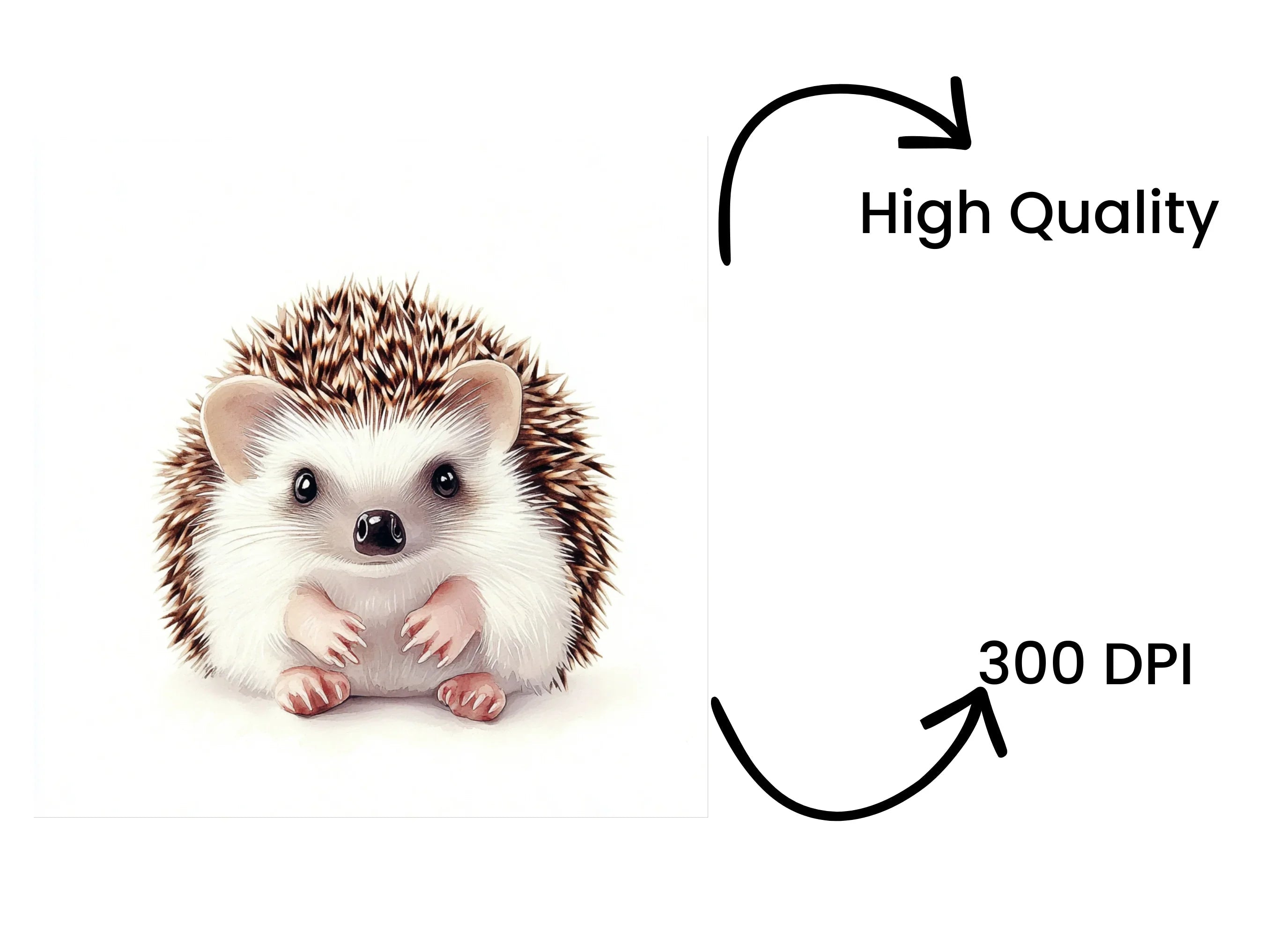 Adorable Hedgehog Clipart Bundle