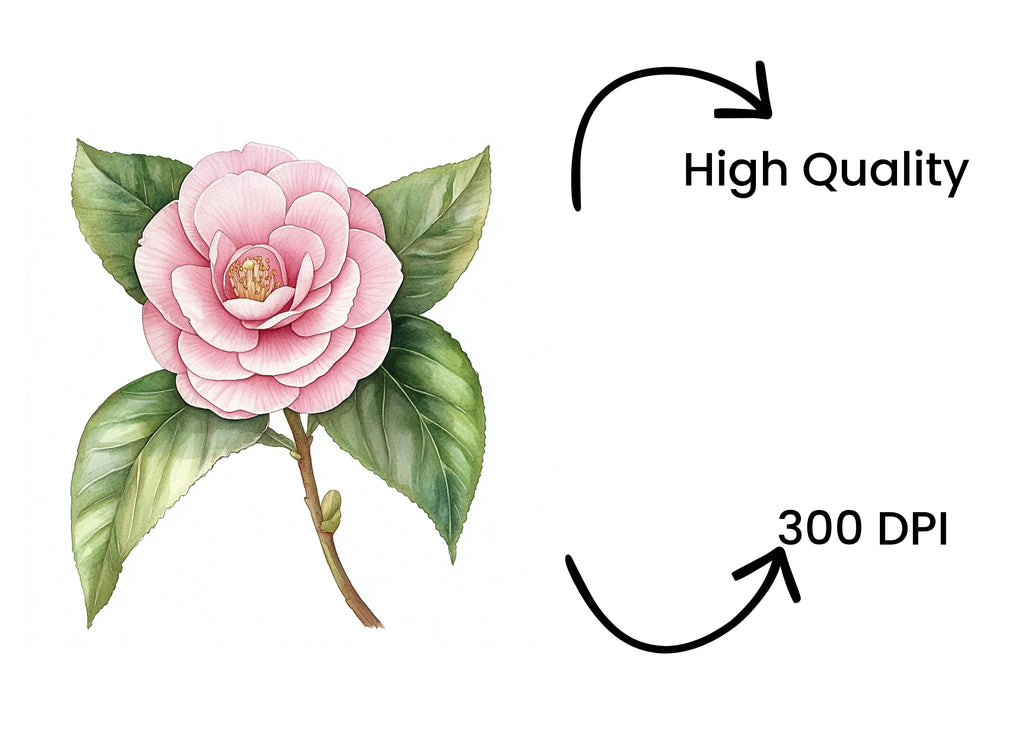 Elegant Pink Camellia Flower Clipart Bundle