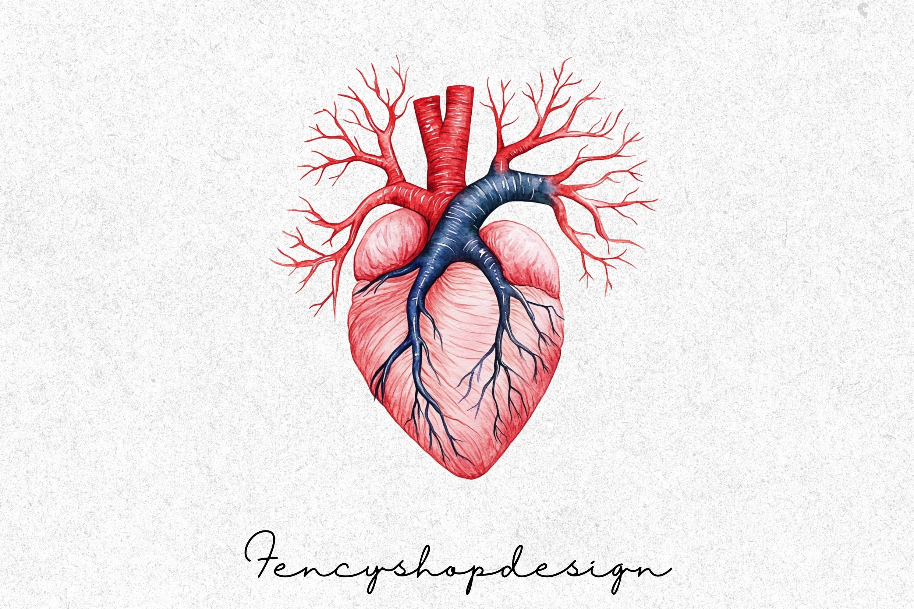 Anatomical Human Heart Clipart Bundle