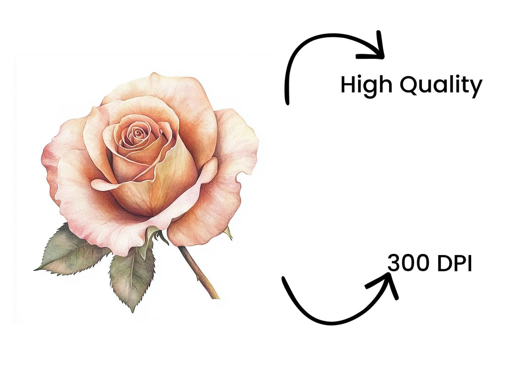 Elegant Rose Clipart Bundle