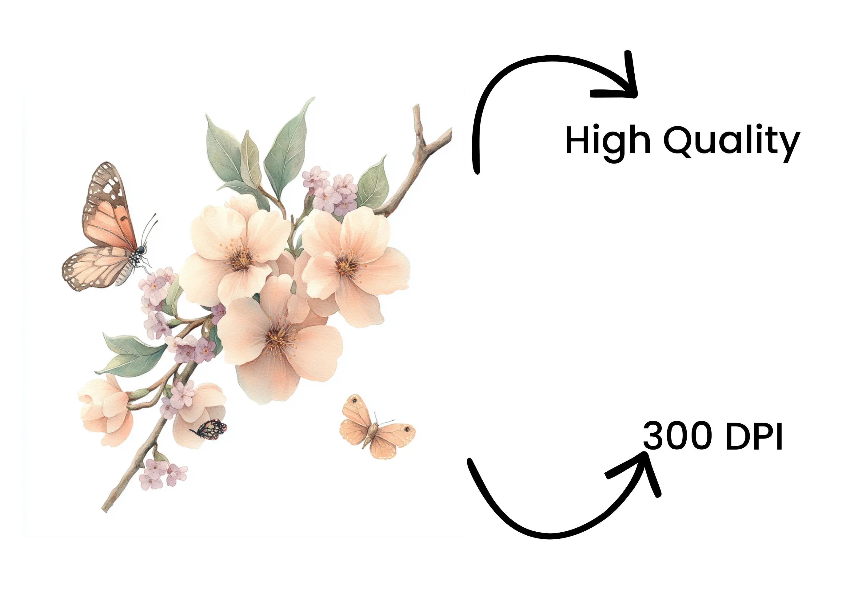 Butterfly Floral Clipart Bundle