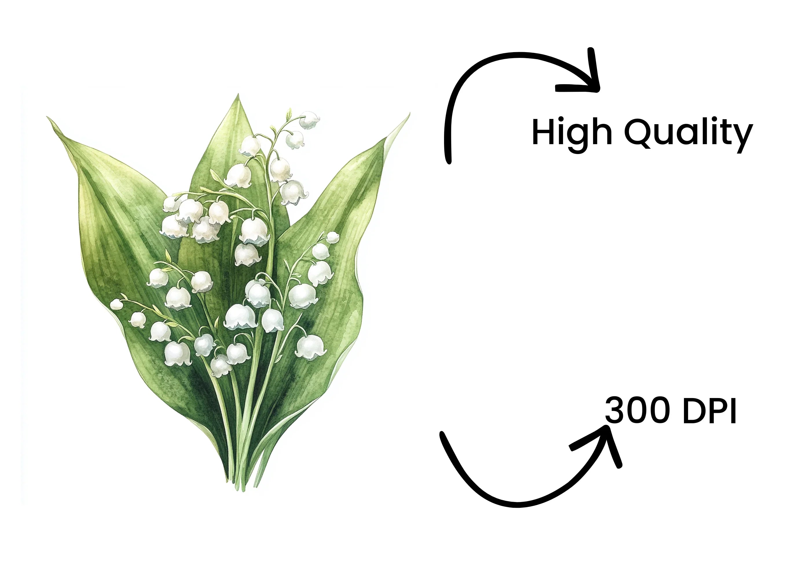 Elegant Lily of the Valley Clipart Bundle