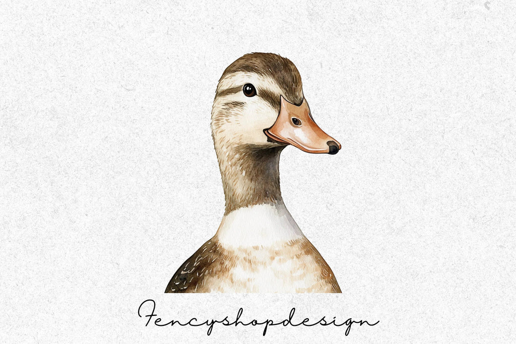 Hand Painted Duck Clipart Bundle