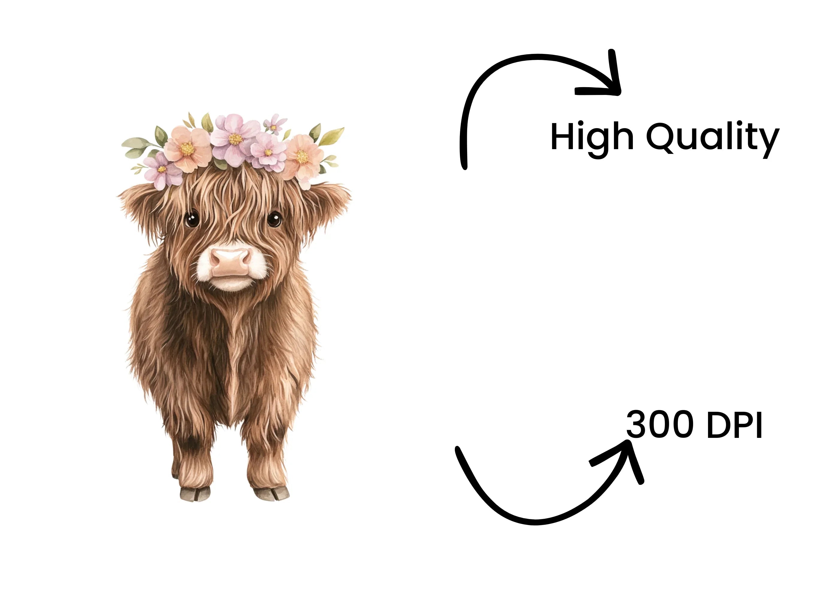 Cute Baby Highland Cow with Flower Crown Clipart Bundle