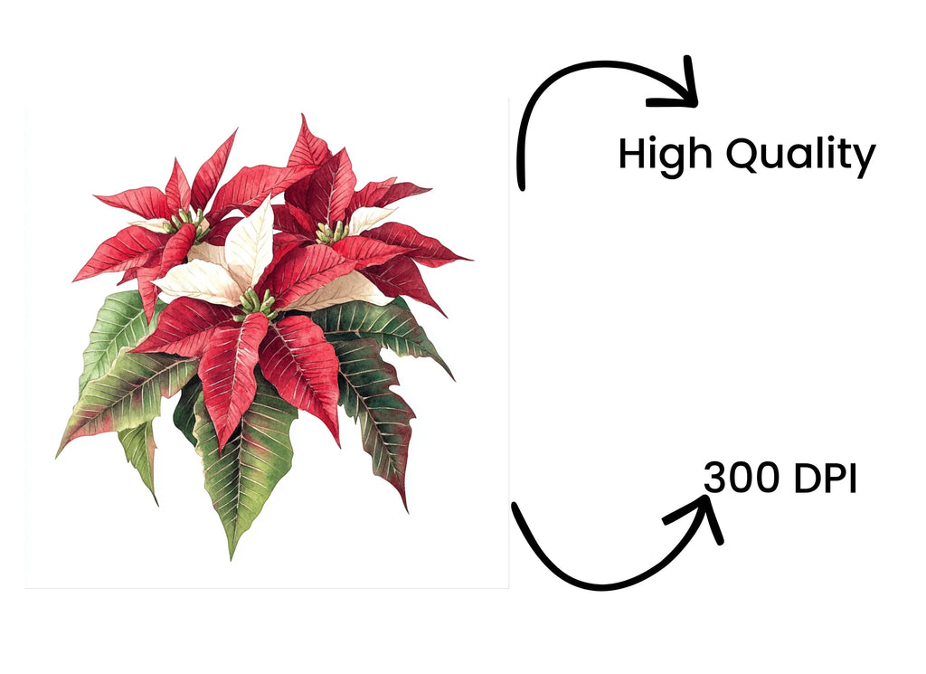 Poinsettia Clipart Bundle