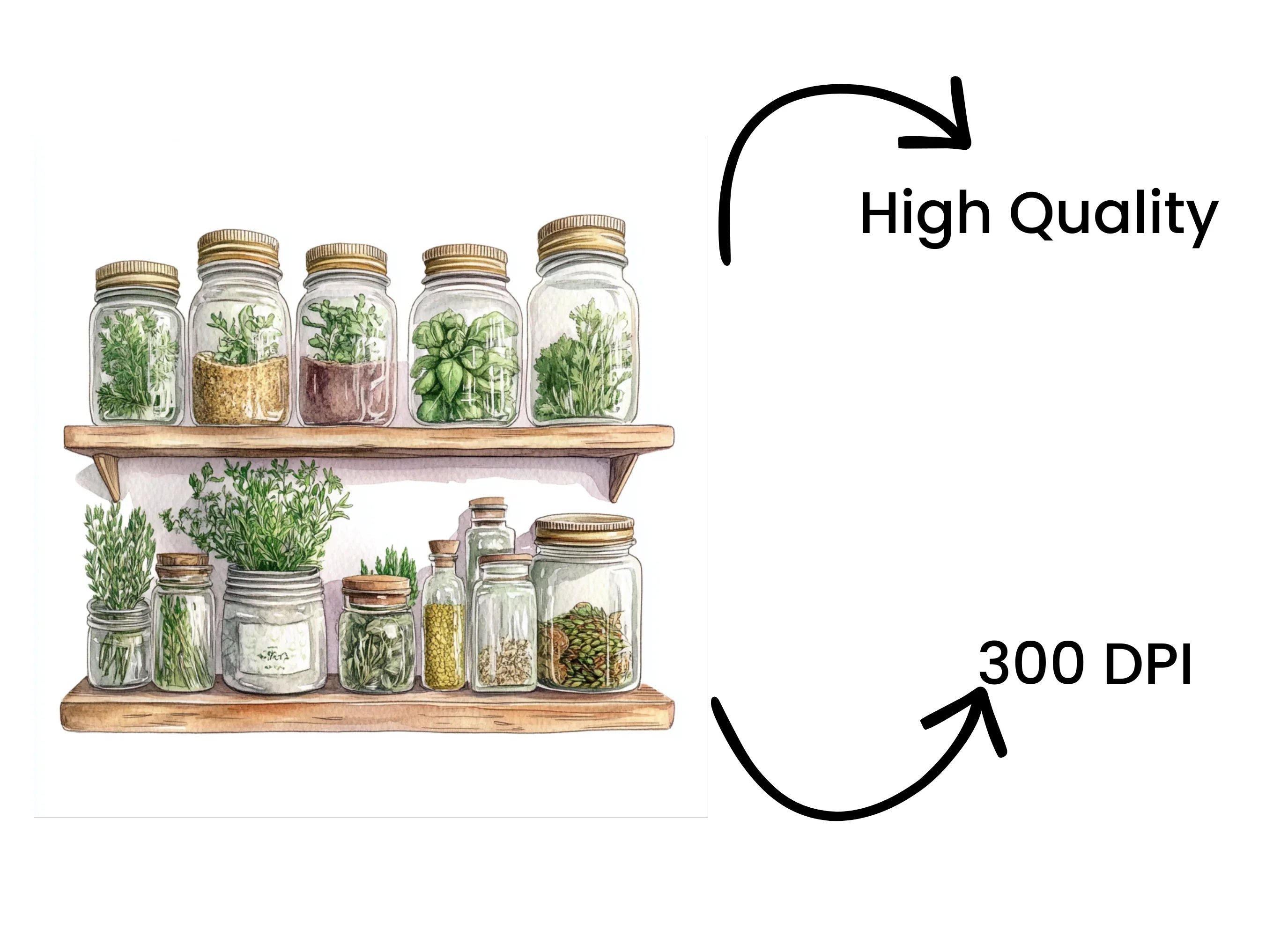 Herbal Pantry Illustrations Clipart Bundle