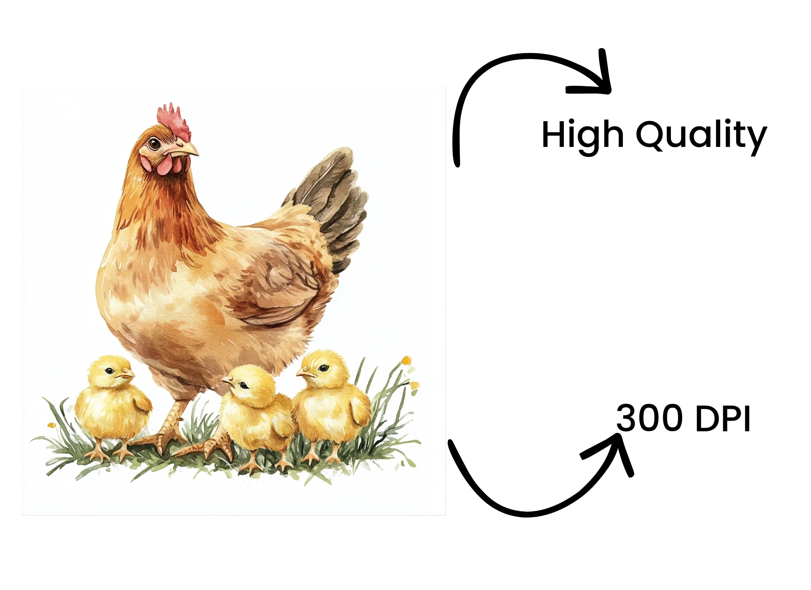 Cute Farm Animal Hen Chicks Clipart Bundle