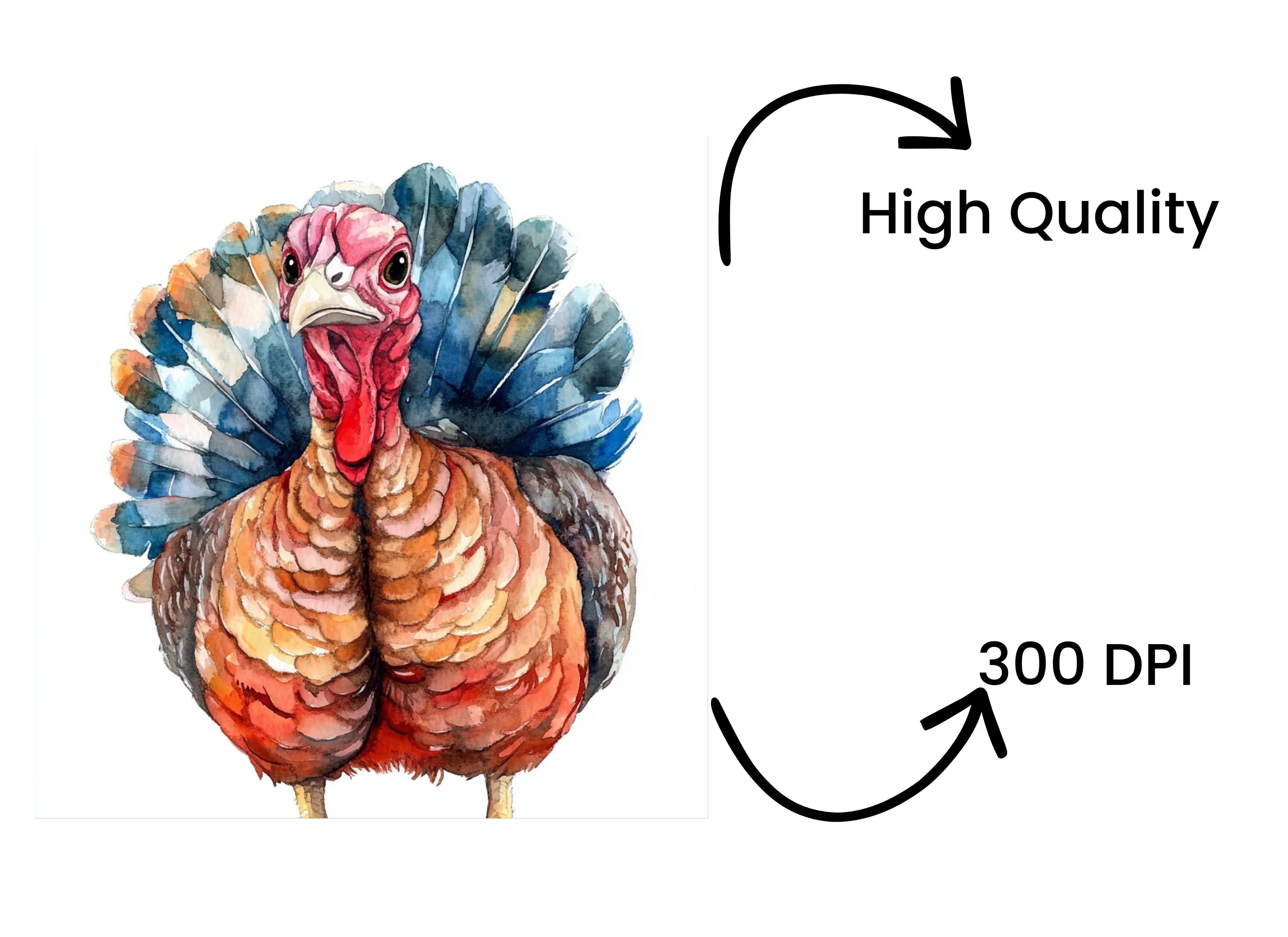 Thanksgiving Turkey Clipart Bundle